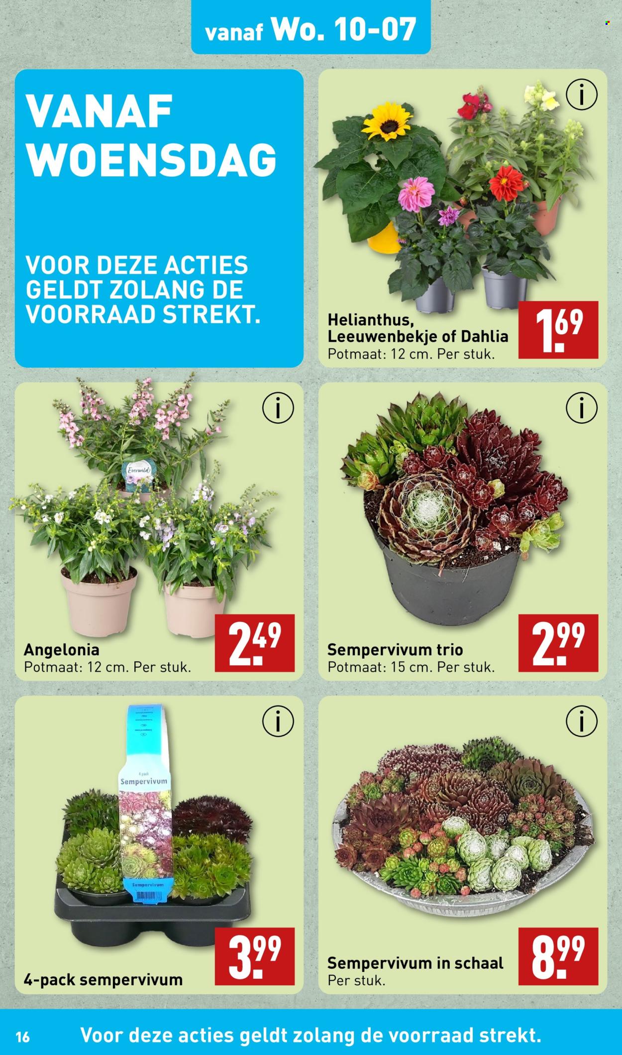 Aldi-aanbieding - 8-7-2024 - 14-7-2024. Pagina 16