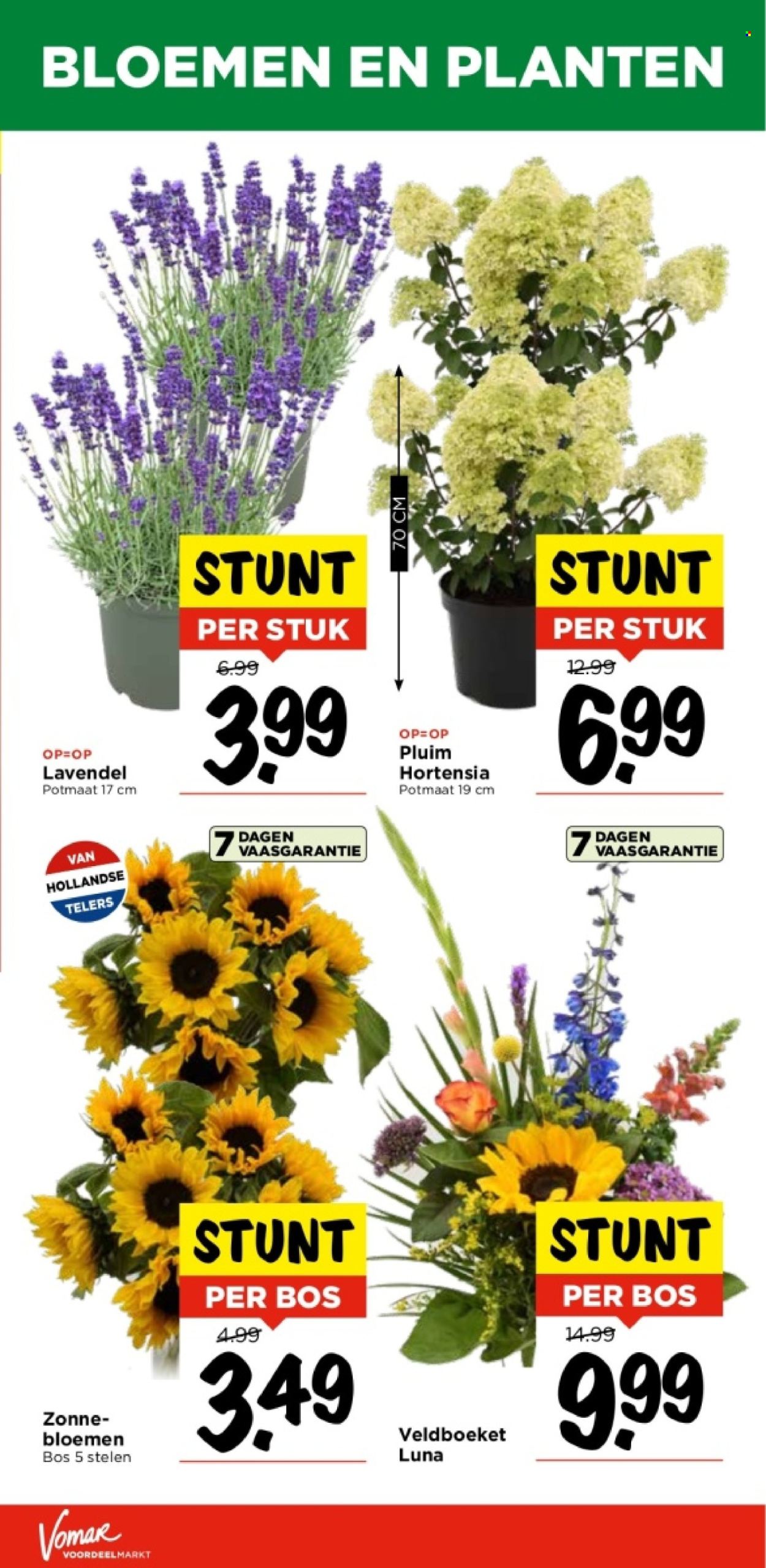 Vomar-aanbieding - 18-7-2024 - 20-7-2024. Pagina 38