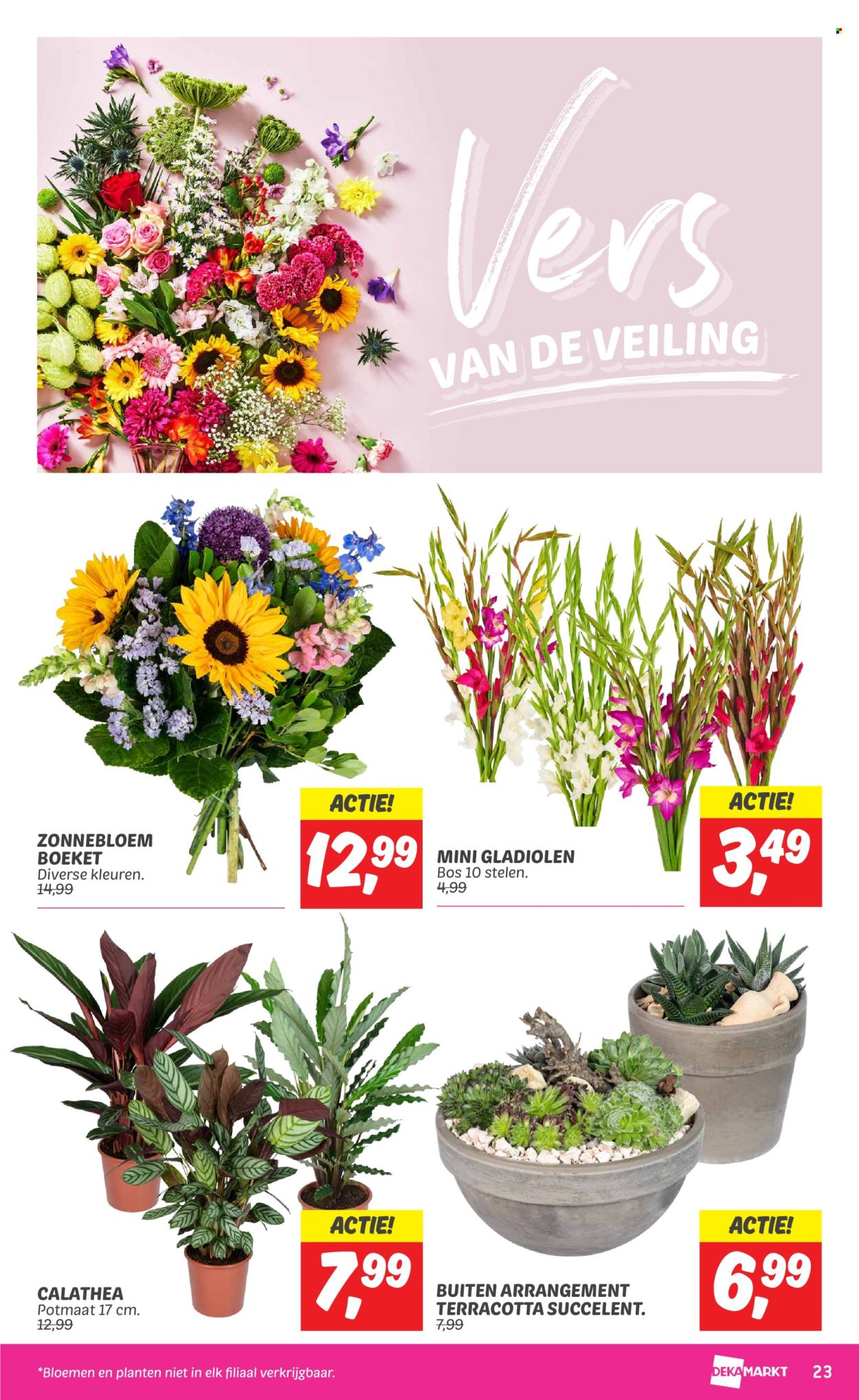DekaMarkt-aanbieding - 23-7-2024 - 29-7-2024. Pagina 23