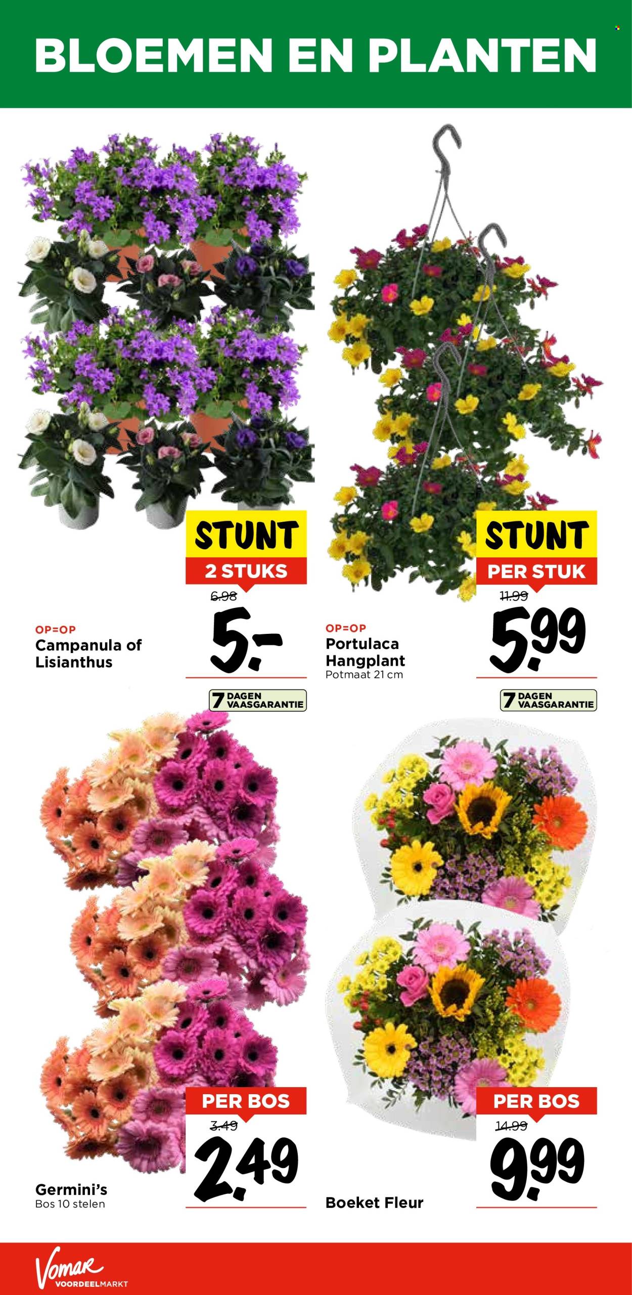 Vomar-aanbieding - 28-7-2024 - 3-8-2024. Pagina 28