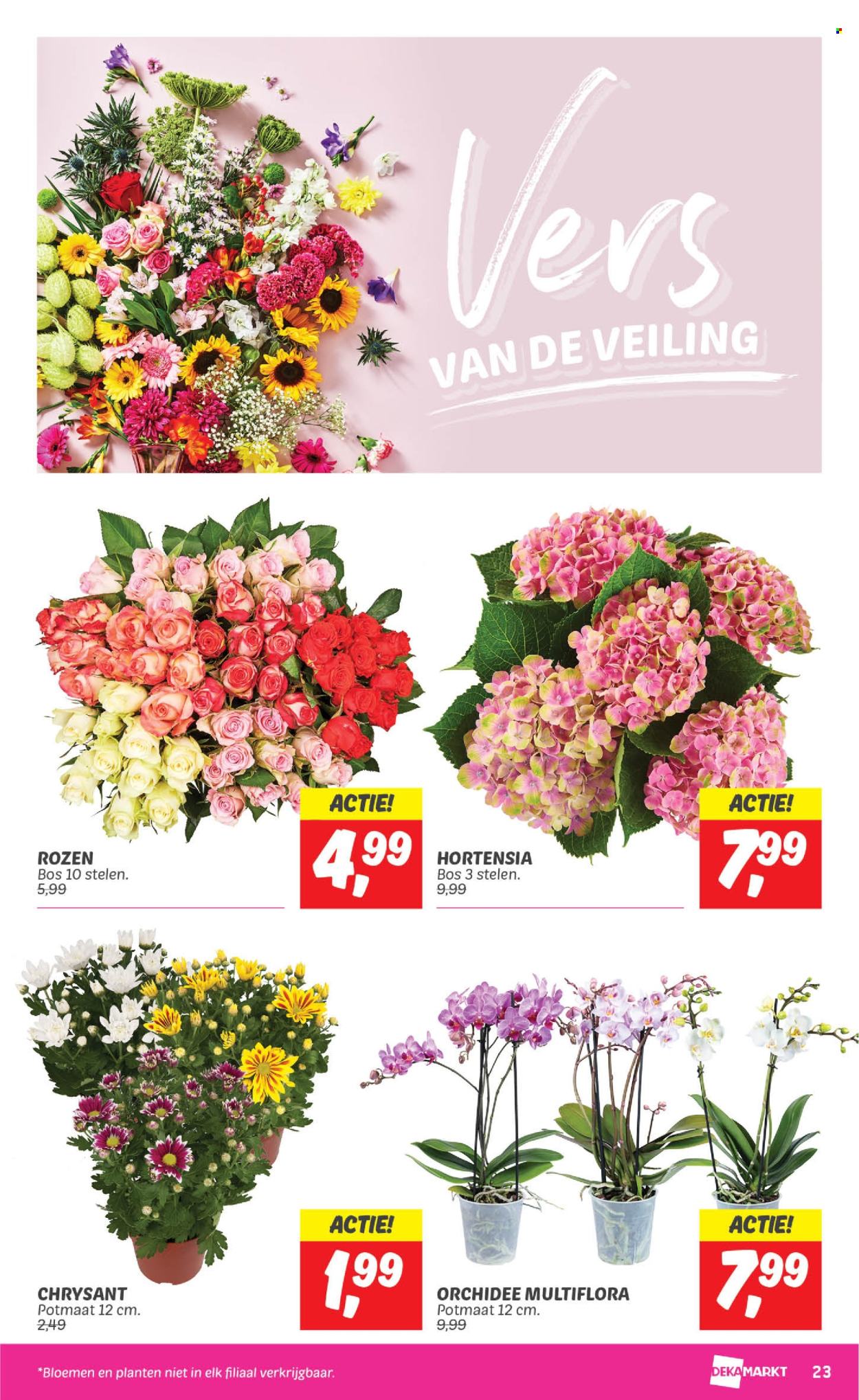 DekaMarkt-aanbieding - 30-7-2024 - 5-8-2024. Pagina 23