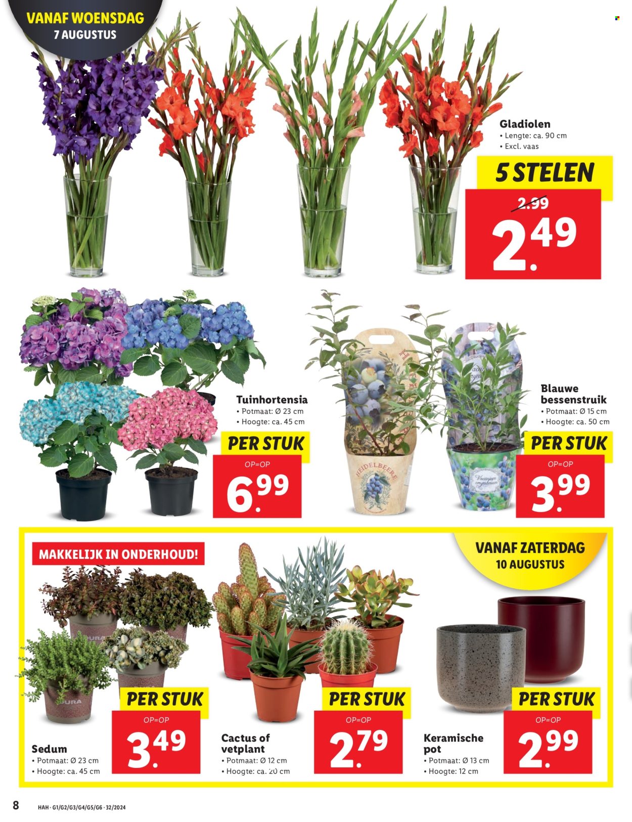 Lidl-aanbieding - 5-8-2024 - 11-8-2024. Pagina 8