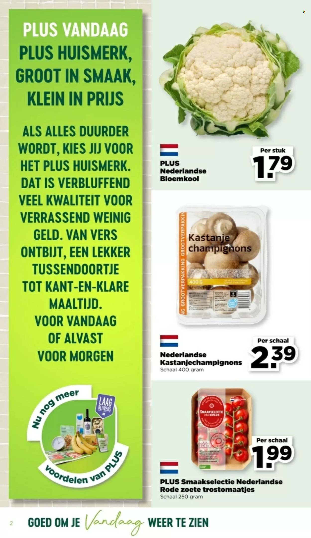 Plus-aanbieding - 4-8-2024 - 10-8-2024. Pagina 2