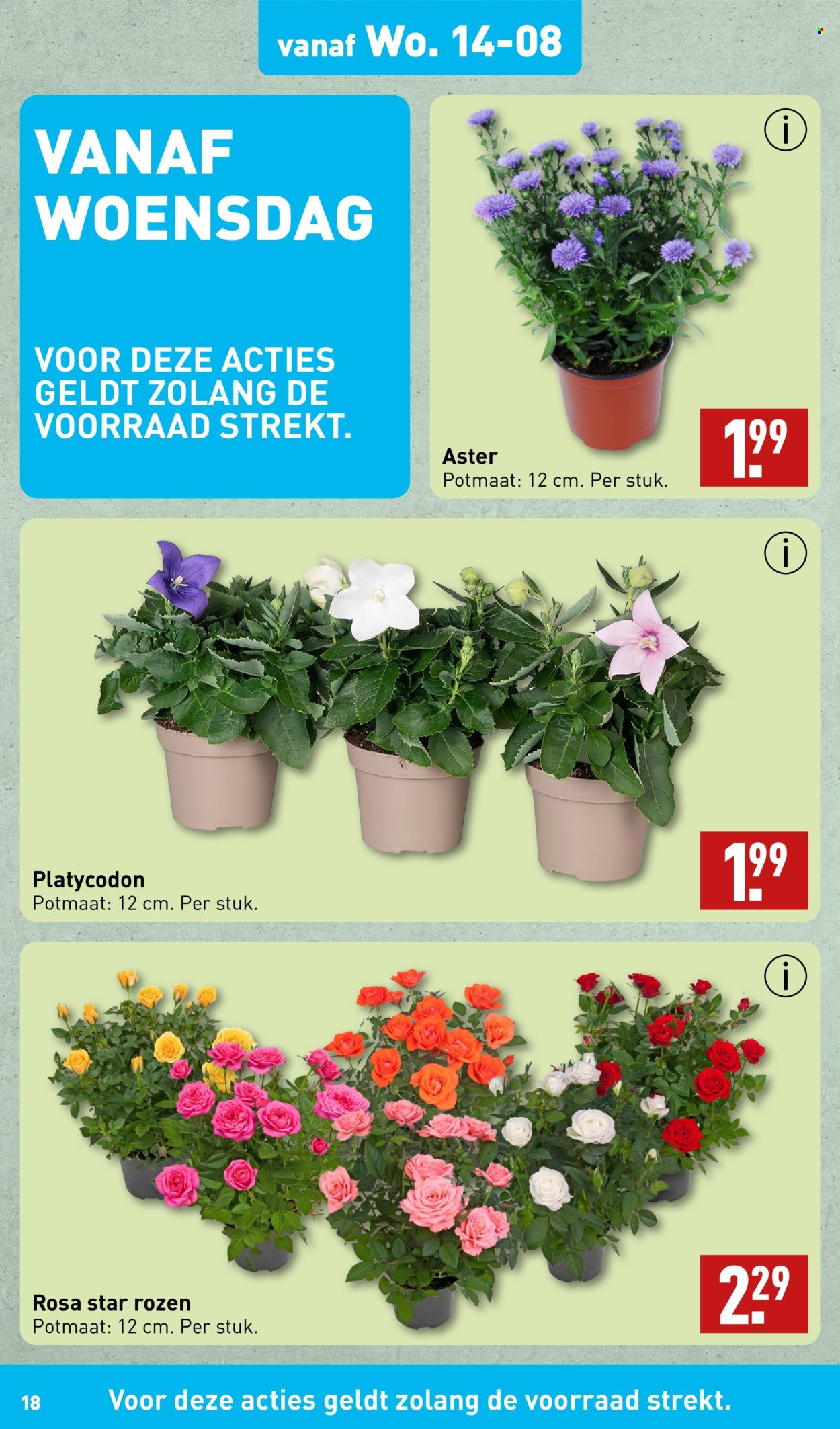 Aldi-aanbieding - 12-8-2024 - 18-8-2024. Pagina 18