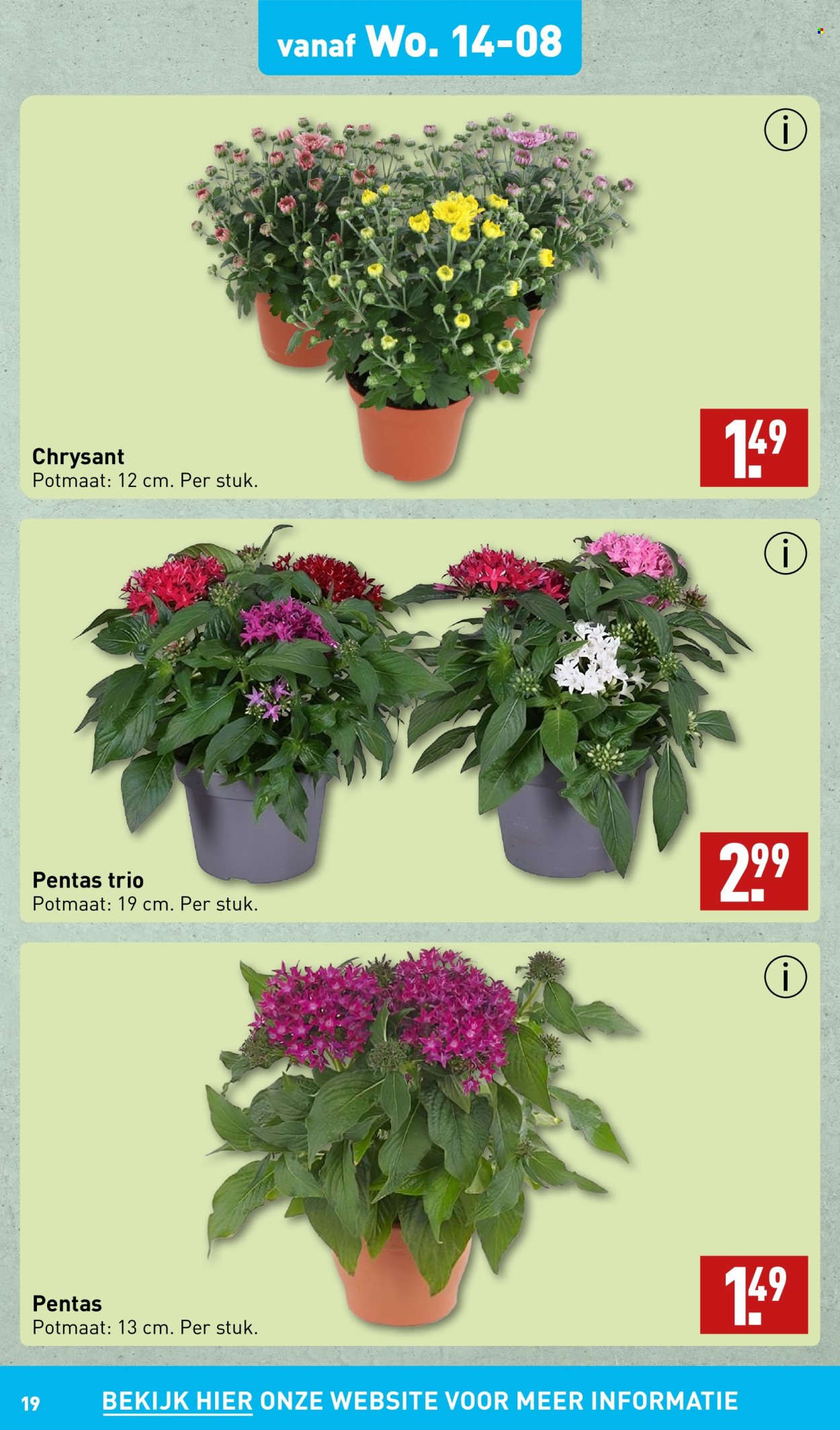 Aldi-aanbieding - 12-8-2024 - 18-8-2024. Pagina 19
