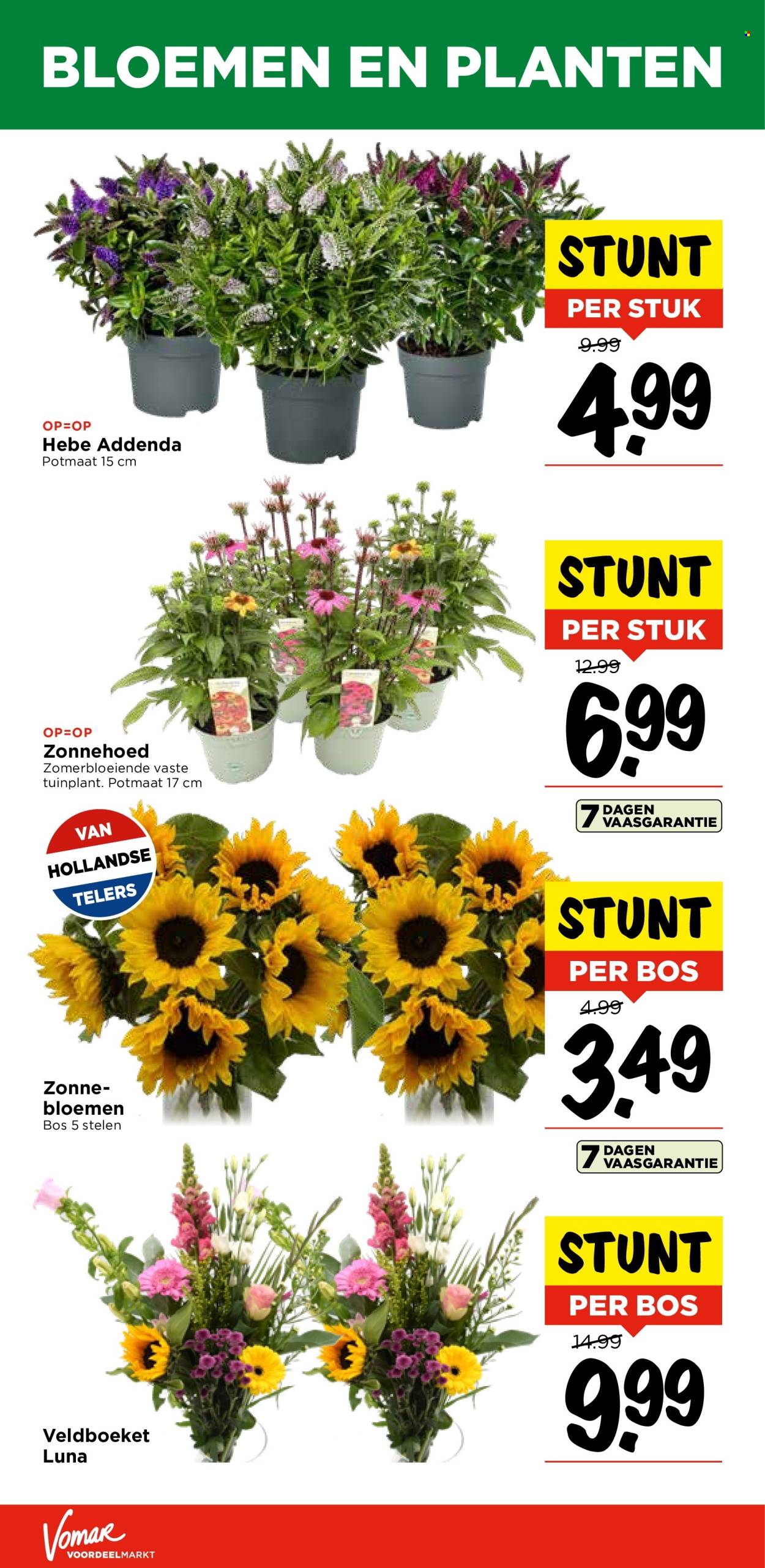 Vomar-aanbieding - 8-8-2024 - 10-8-2024. Pagina 32