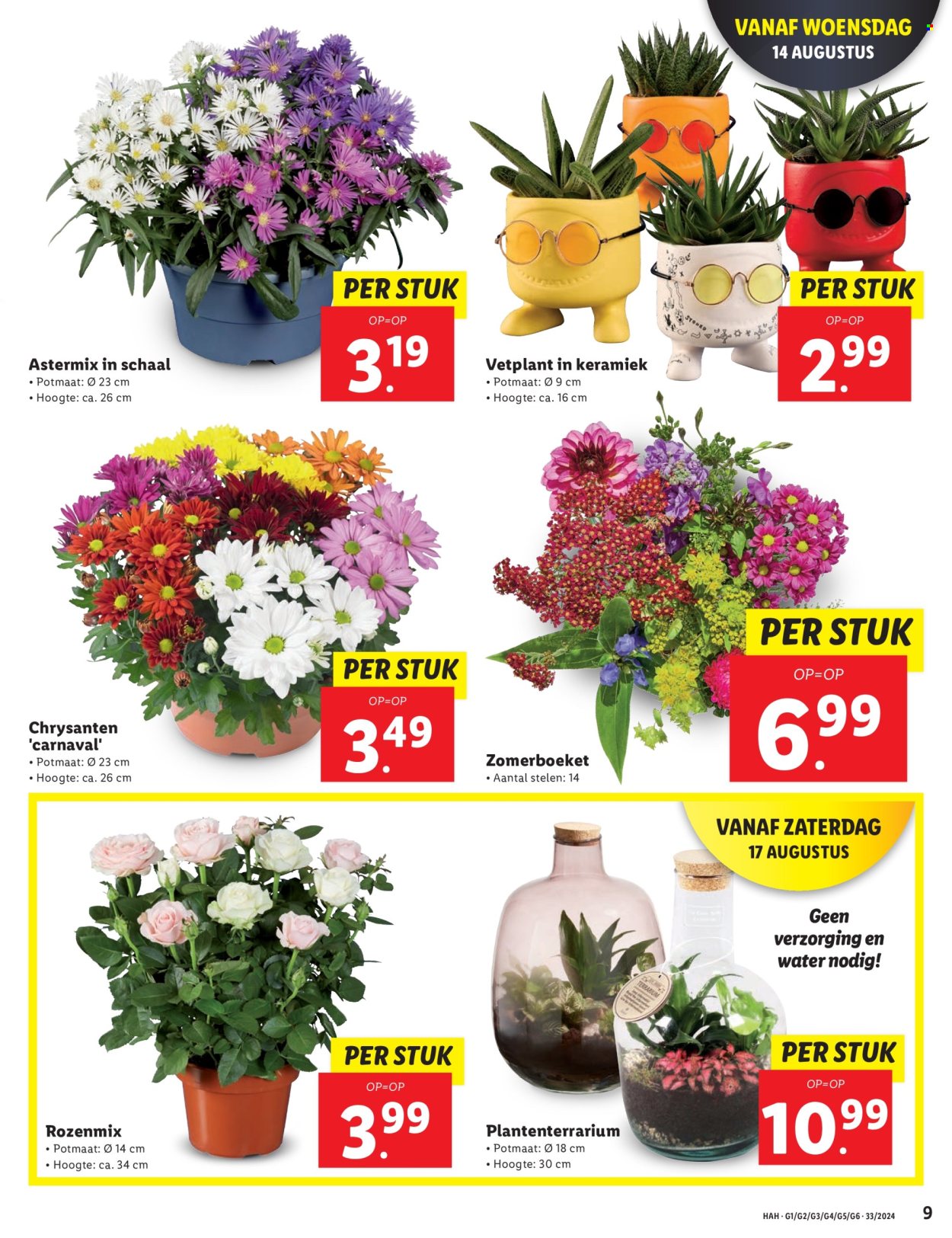 Lidl-aanbieding - 12-8-2024 - 18-8-2024. Pagina 9