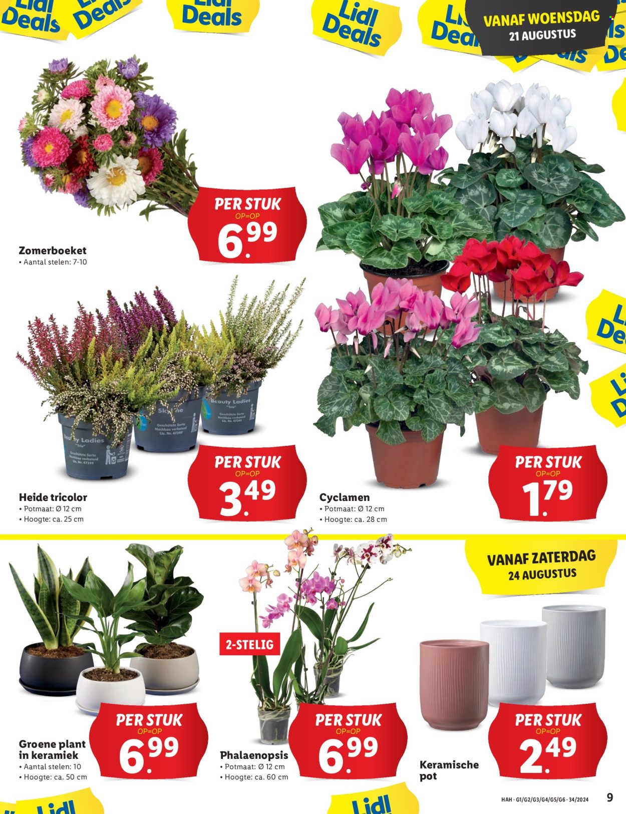 Lidl-aanbieding - 19-8-2024 - 25-8-2024. Pagina 11