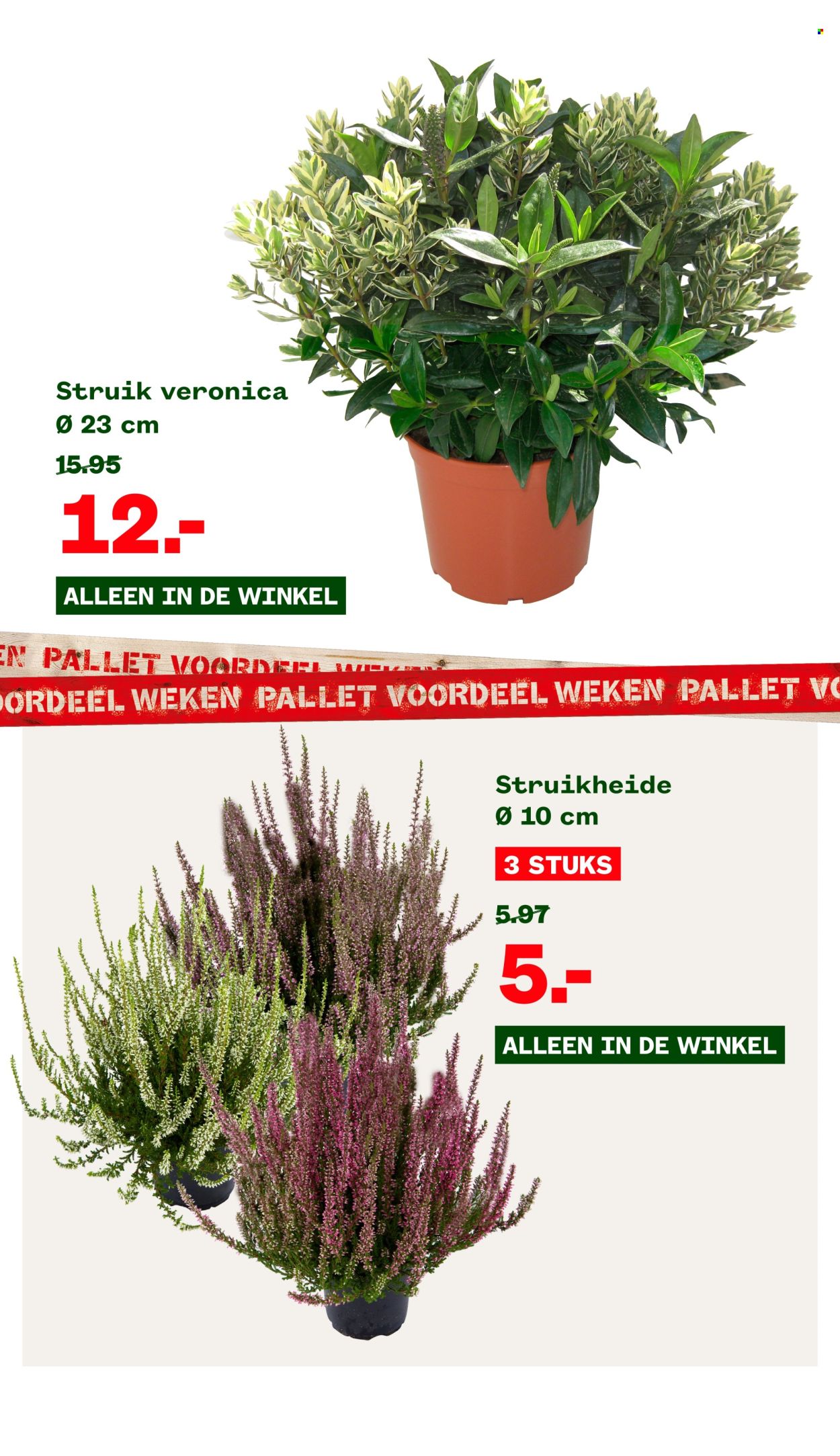 Welkoop-aanbieding - 19-8-2024 - 1-9-2024. Pagina 2