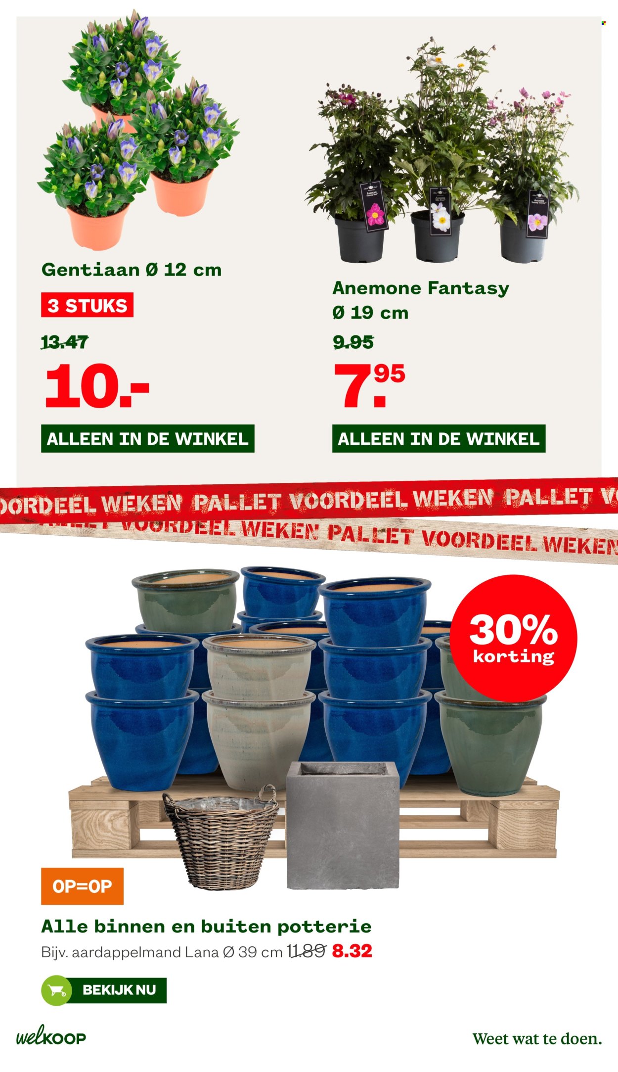 Welkoop-aanbieding - 19-8-2024 - 1-9-2024. Pagina 3