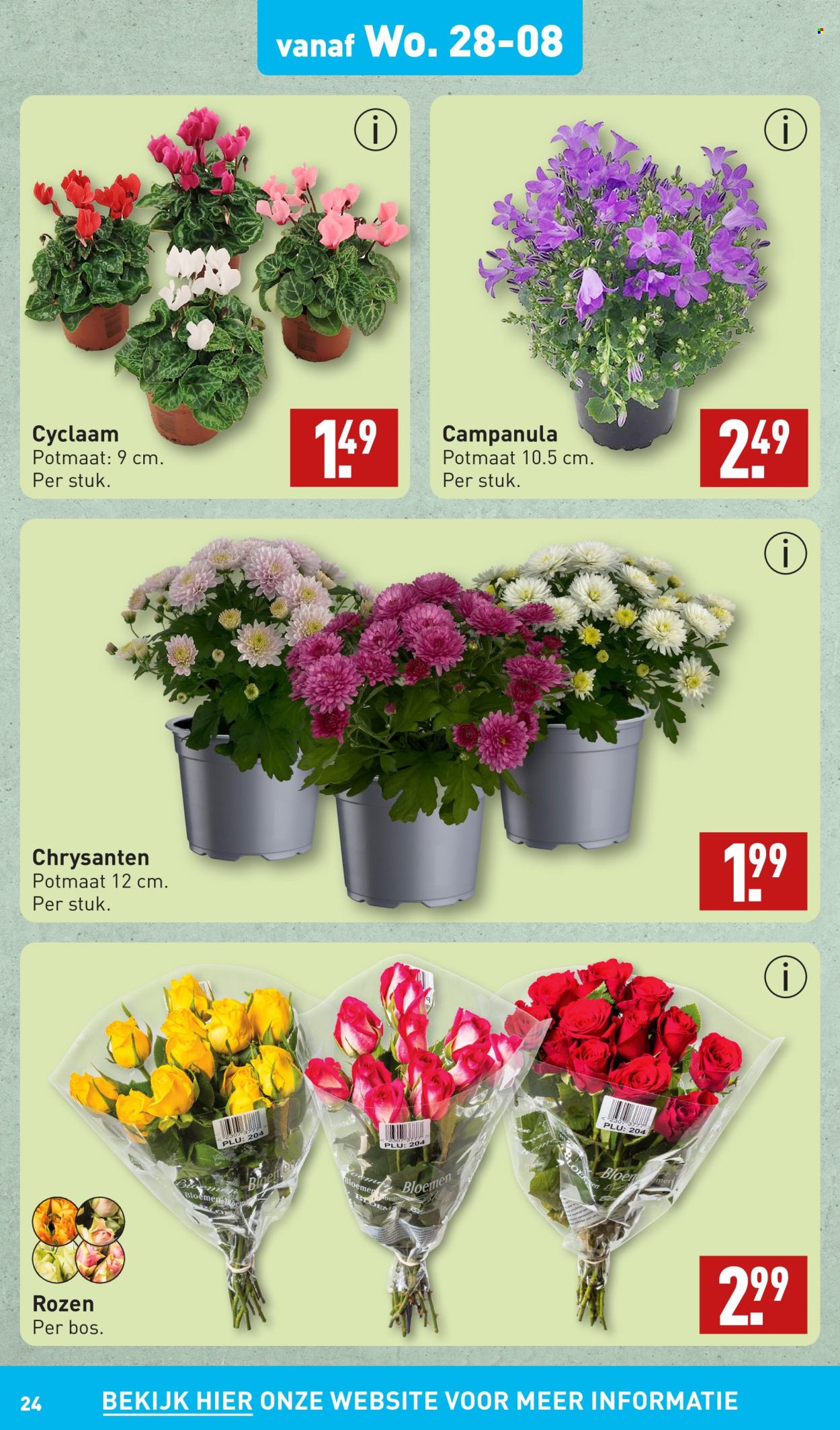 Aldi-aanbieding - 26-8-2024 - 1-9-2024. Pagina 24