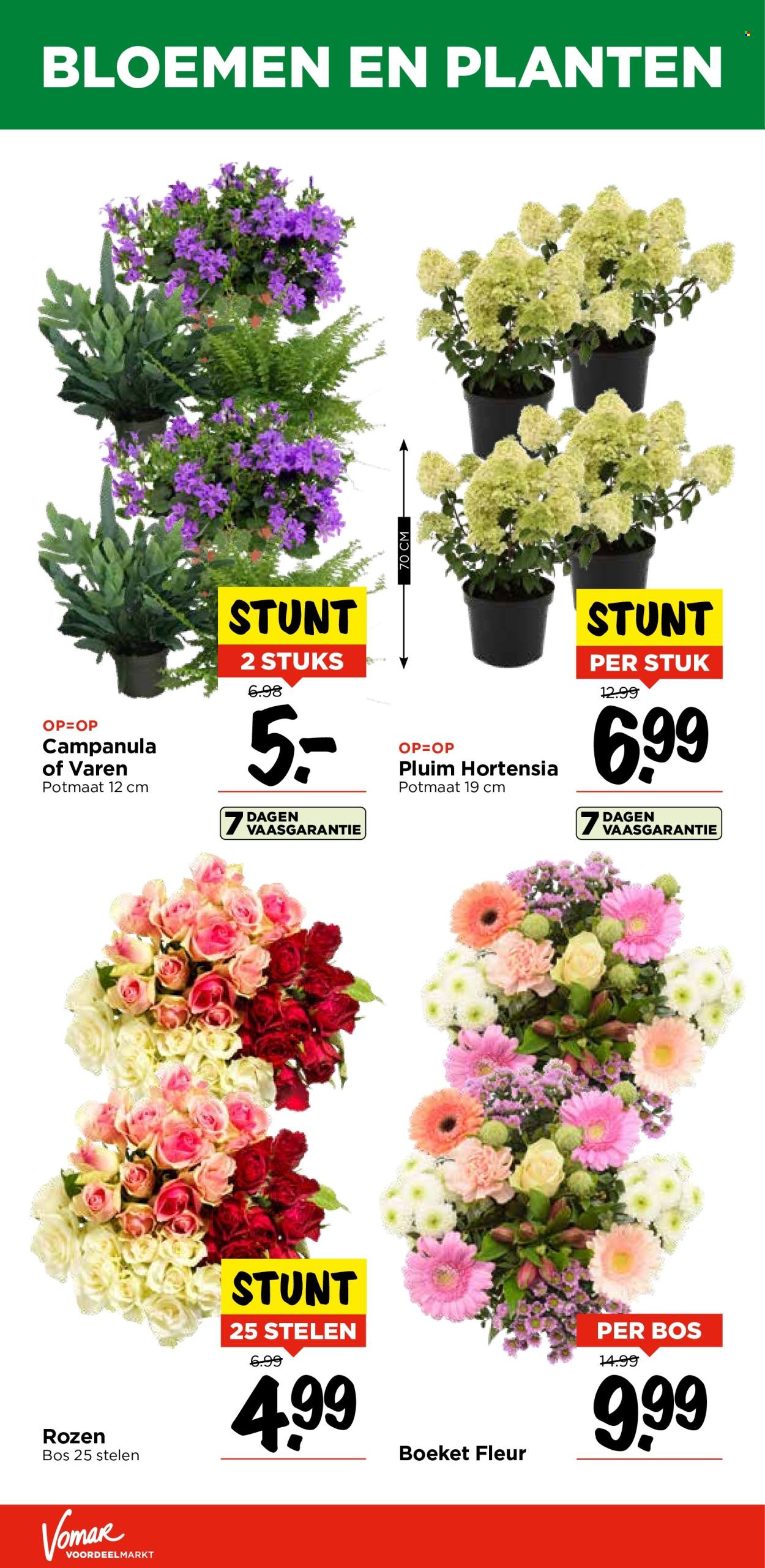 Vomar-aanbieding - 22-8-2024 - 24-8-2024. Pagina 34