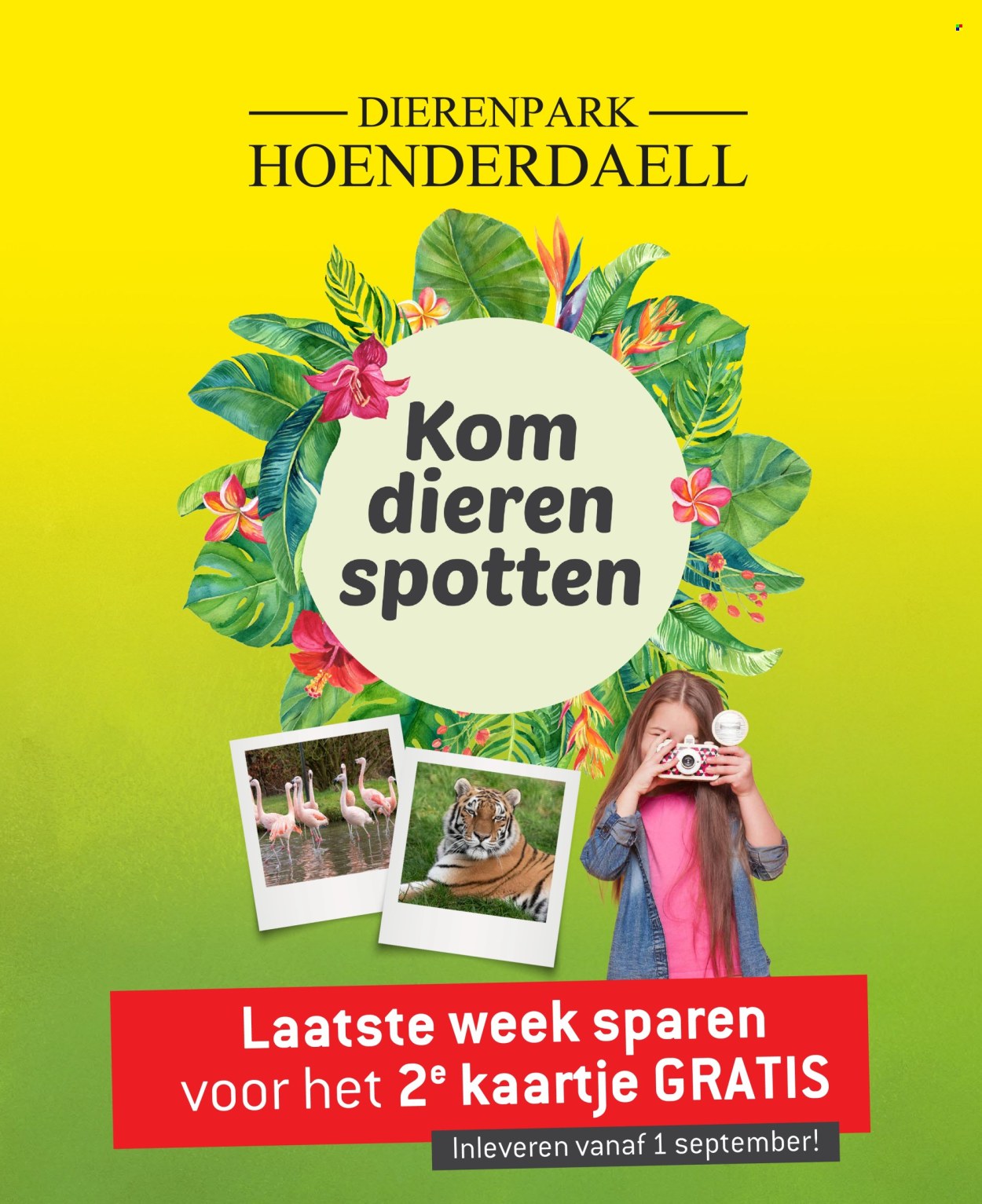 DekaMarkt-aanbieding - 27-8-2024 - 2-9-2024. Pagina 8