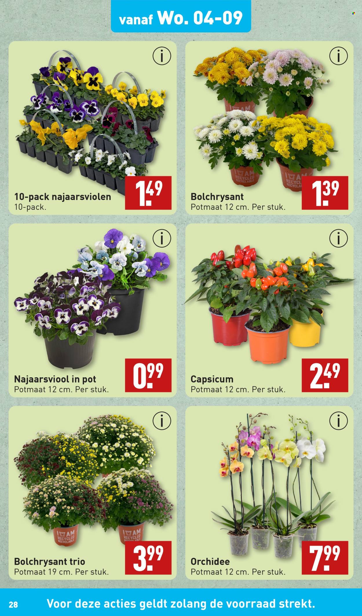 Aldi-aanbieding - 2-9-2024 - 8-9-2024. Pagina 28