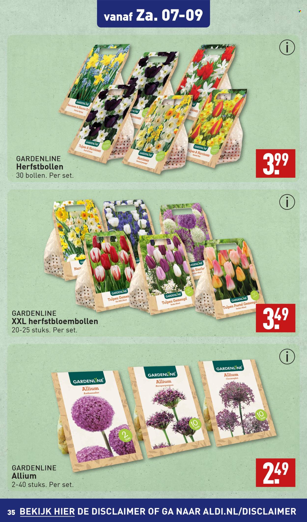 Aldi-aanbieding - 2-9-2024 - 8-9-2024. Pagina 35