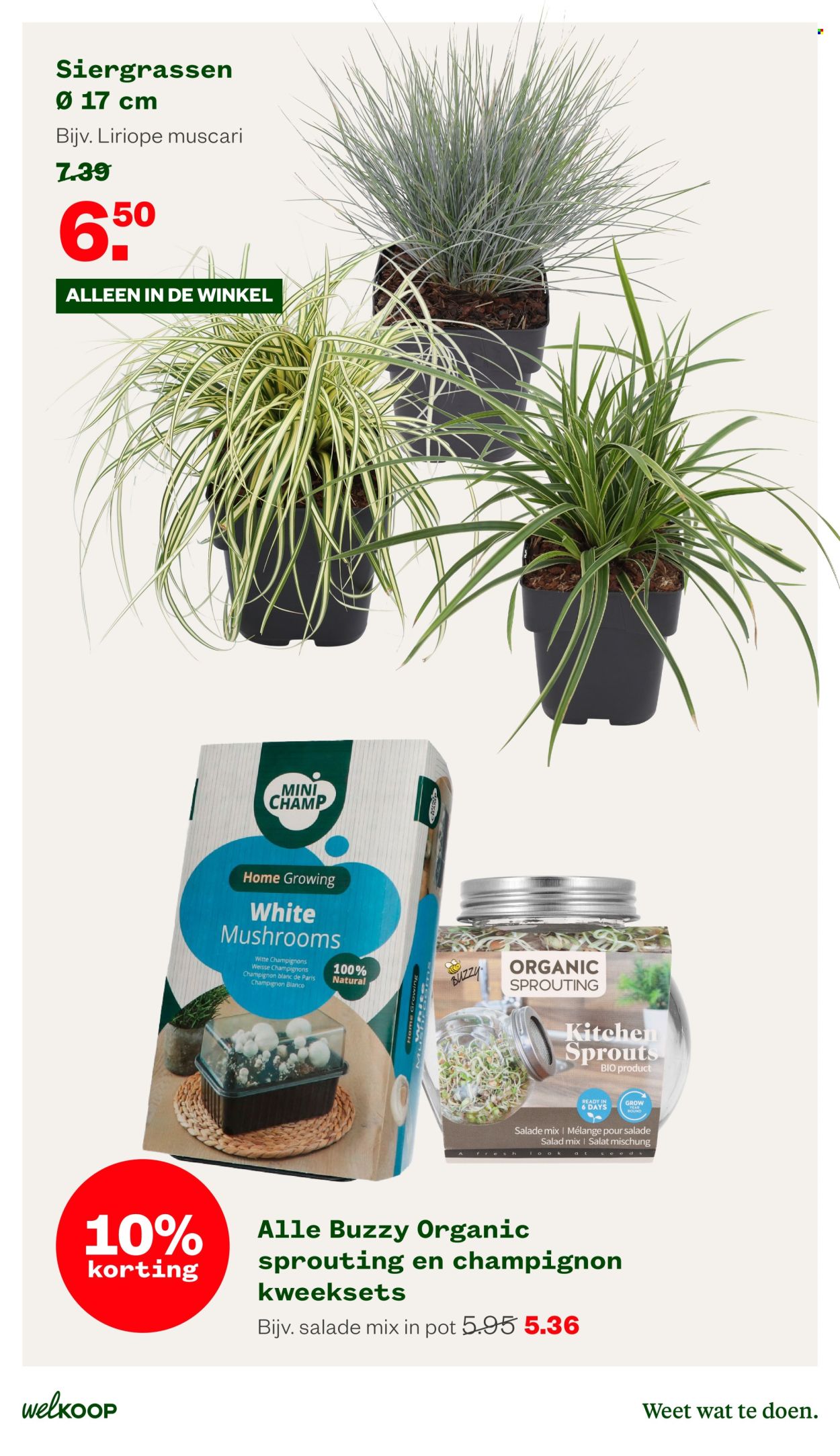 Welkoop-aanbieding - 2-9-2024 - 22-9-2024. Pagina 5