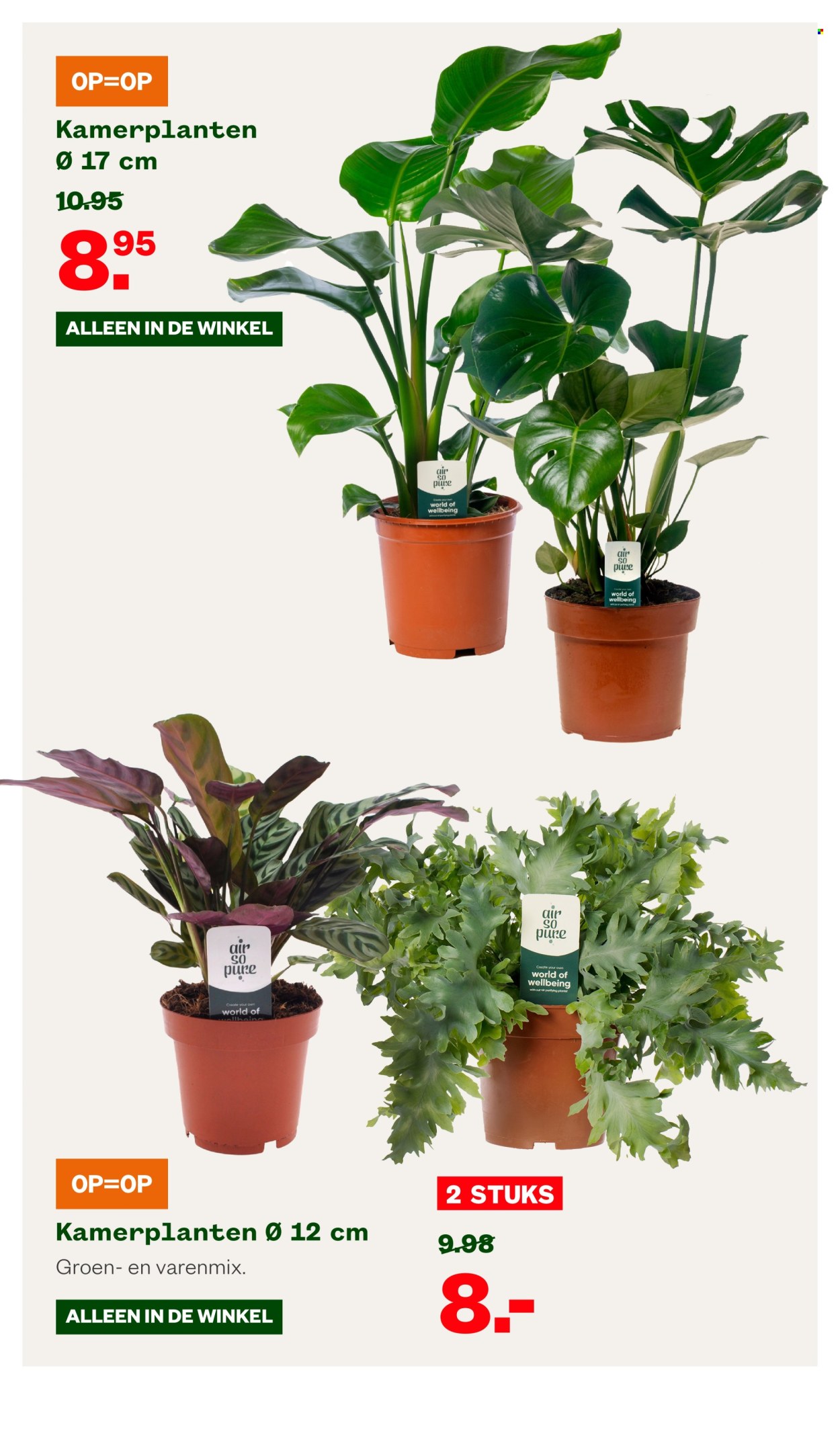 Welkoop-aanbieding - 2-9-2024 - 22-9-2024. Pagina 6