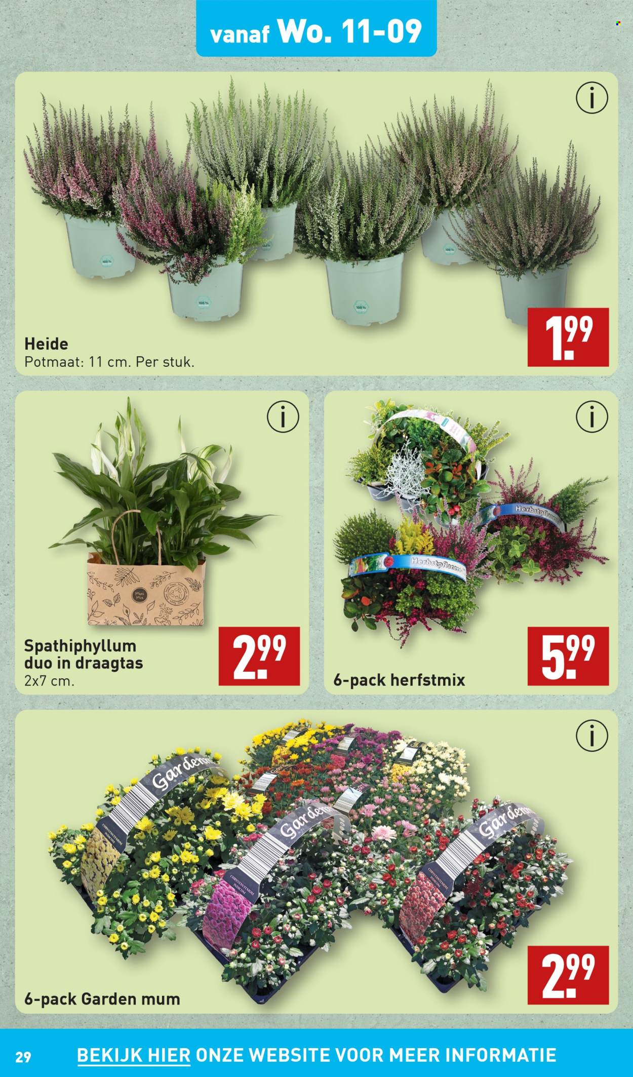 Aldi-aanbieding - 9-9-2024 - 15-9-2024. Pagina 29