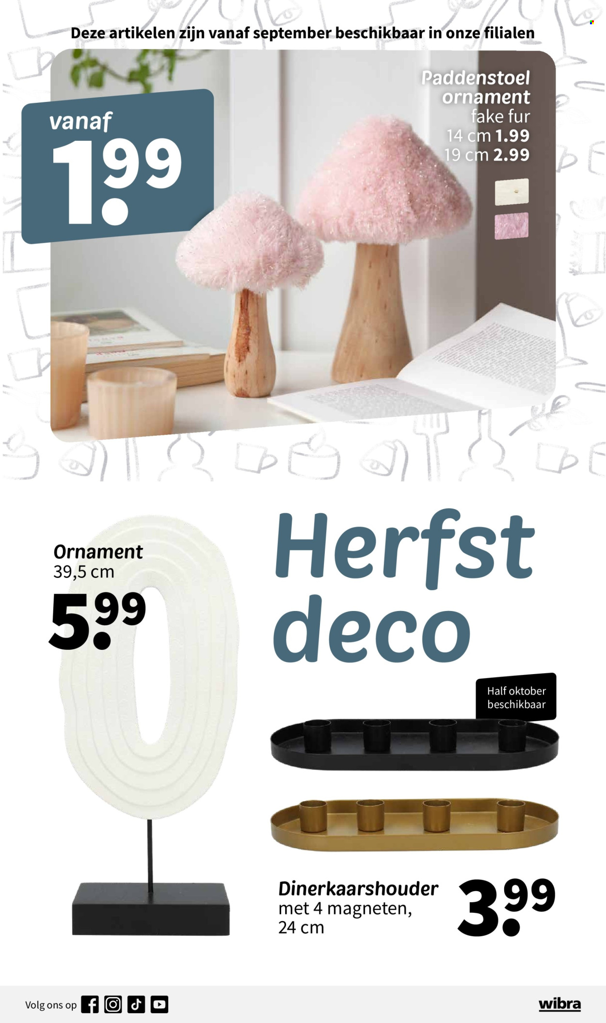 Wibra-aanbieding - 1-9-2024 - 31-10-2024. Pagina 12