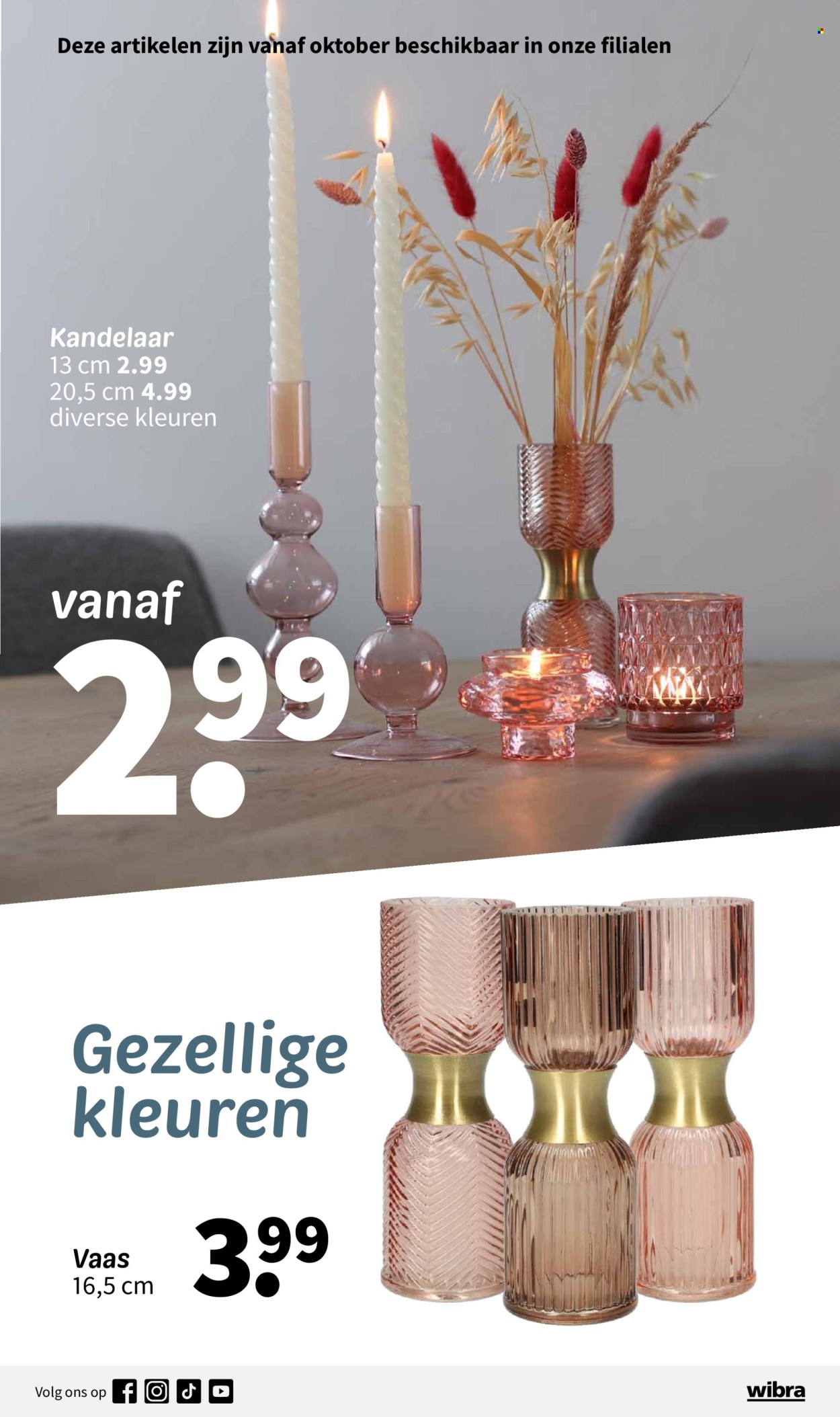Wibra-aanbieding - 1-9-2024 - 31-10-2024. Pagina 15