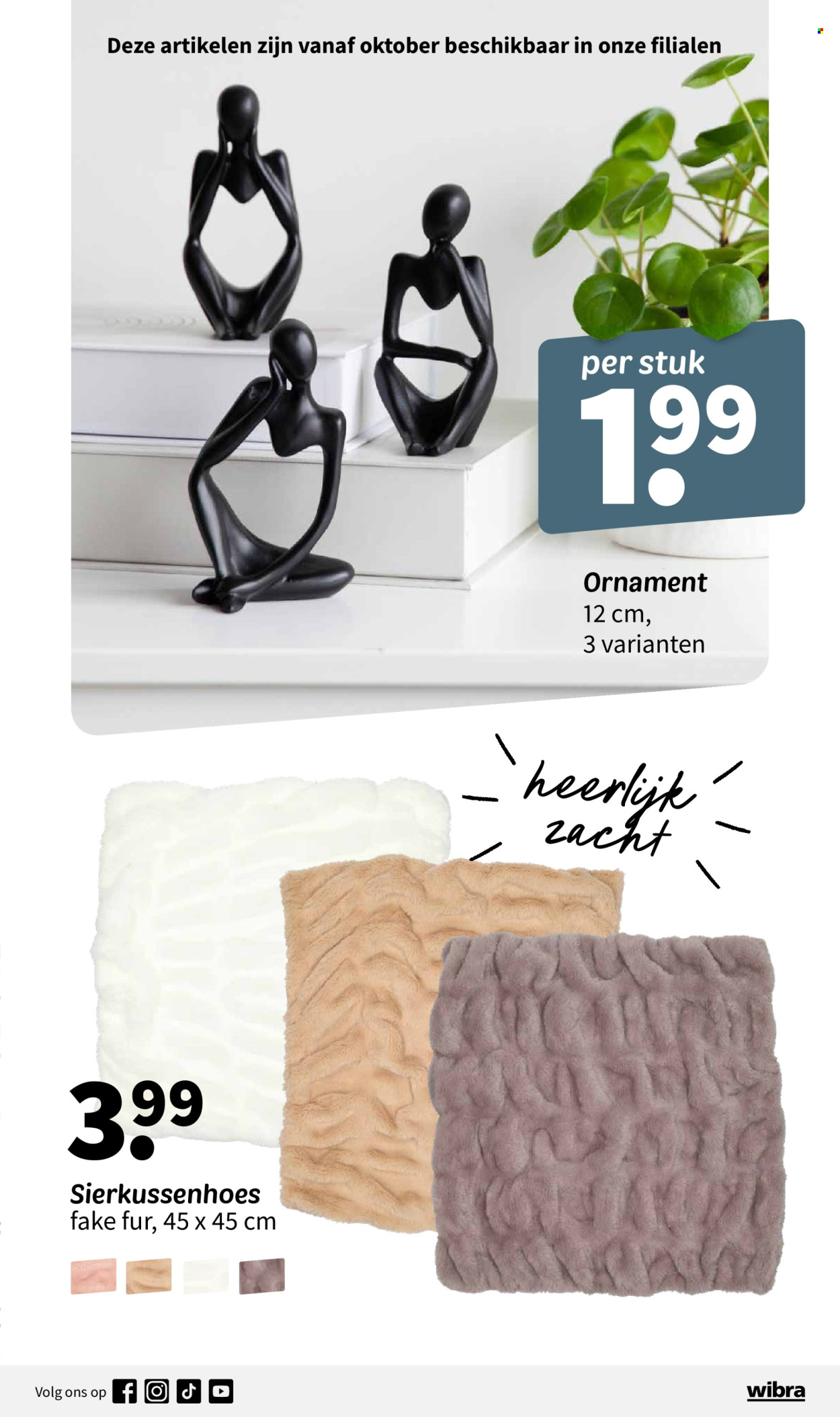 Wibra-aanbieding - 1-9-2024 - 31-10-2024. Pagina 17