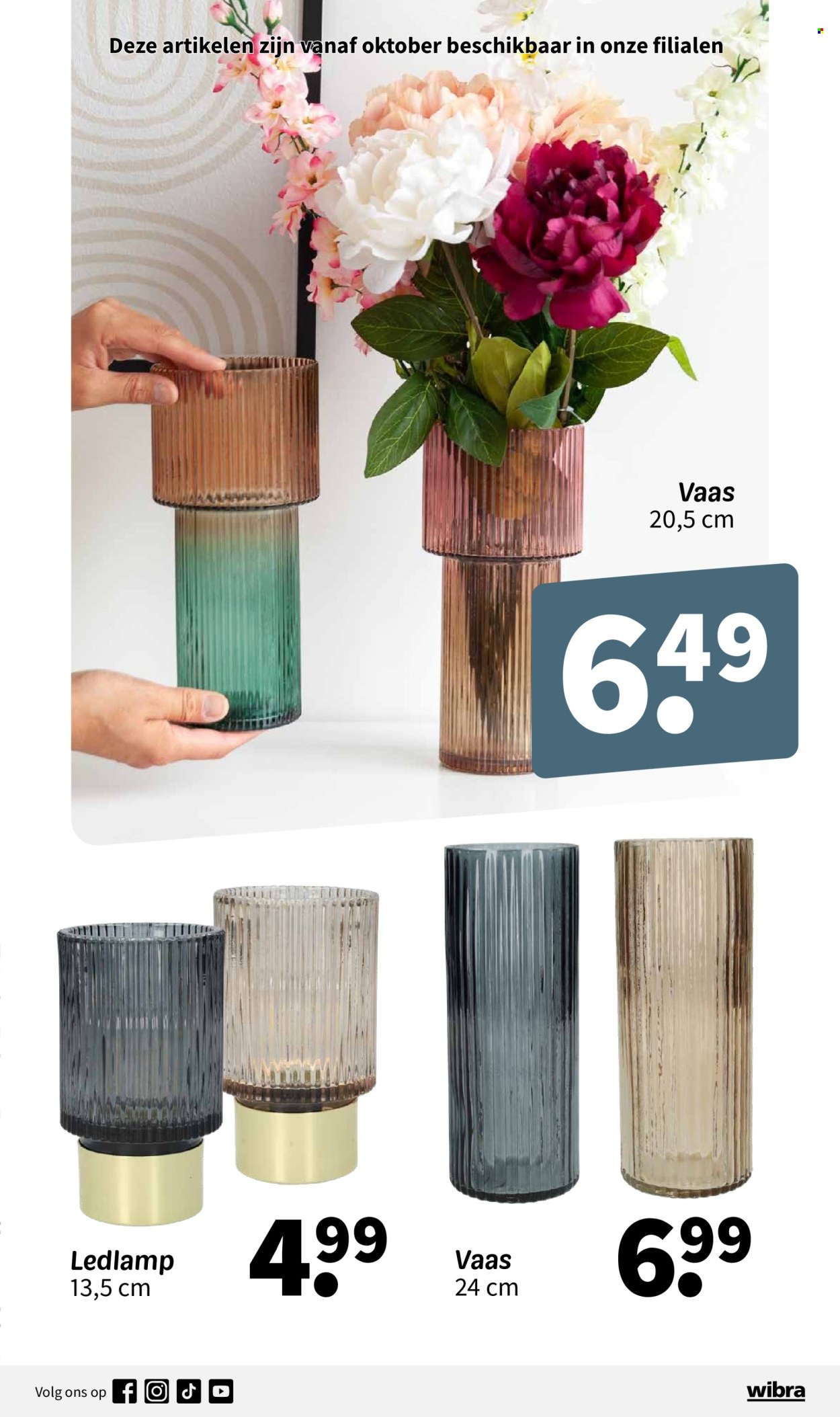 Wibra-aanbieding - 1-9-2024 - 31-10-2024. Pagina 19