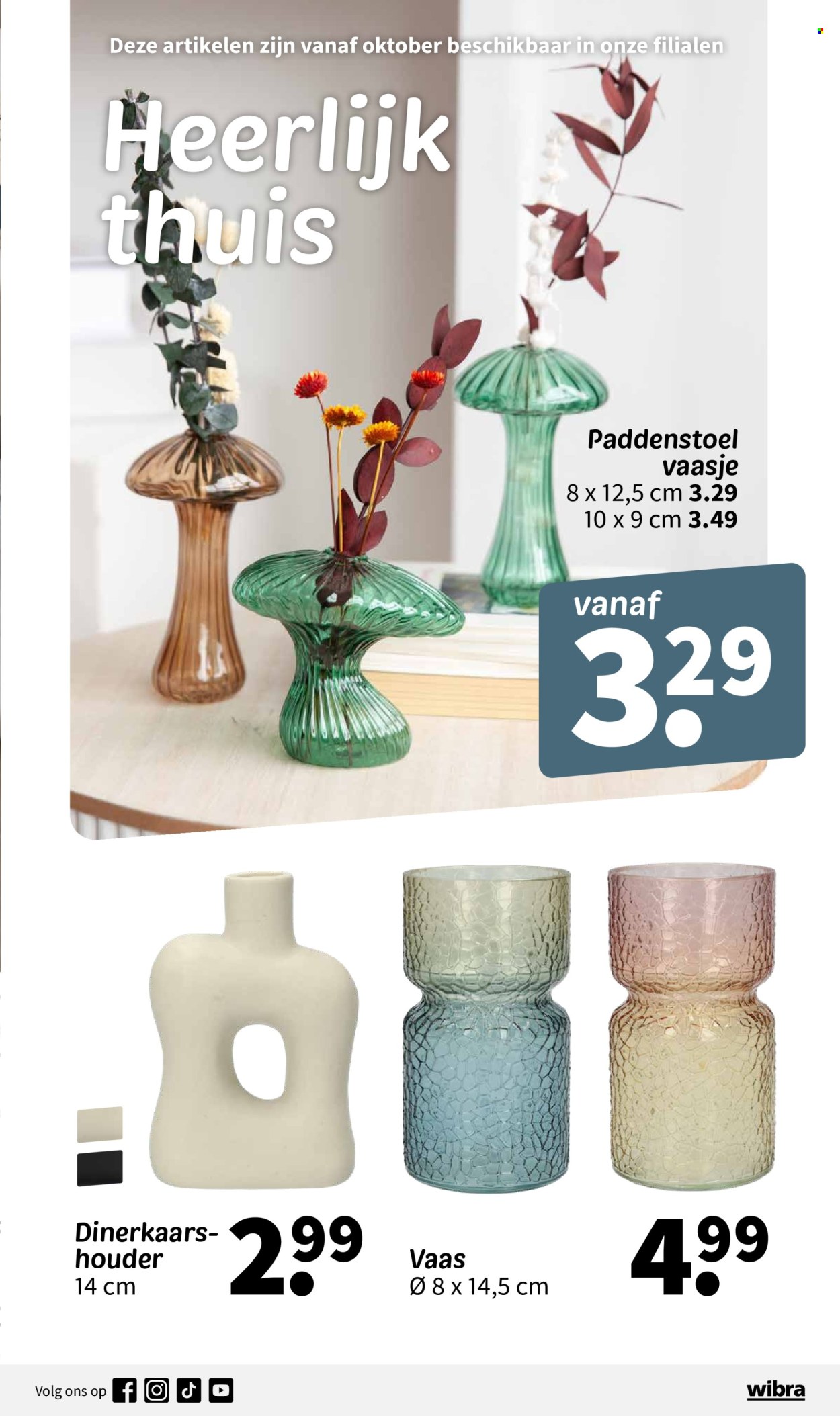 Wibra-aanbieding - 1-9-2024 - 31-10-2024. Pagina 21