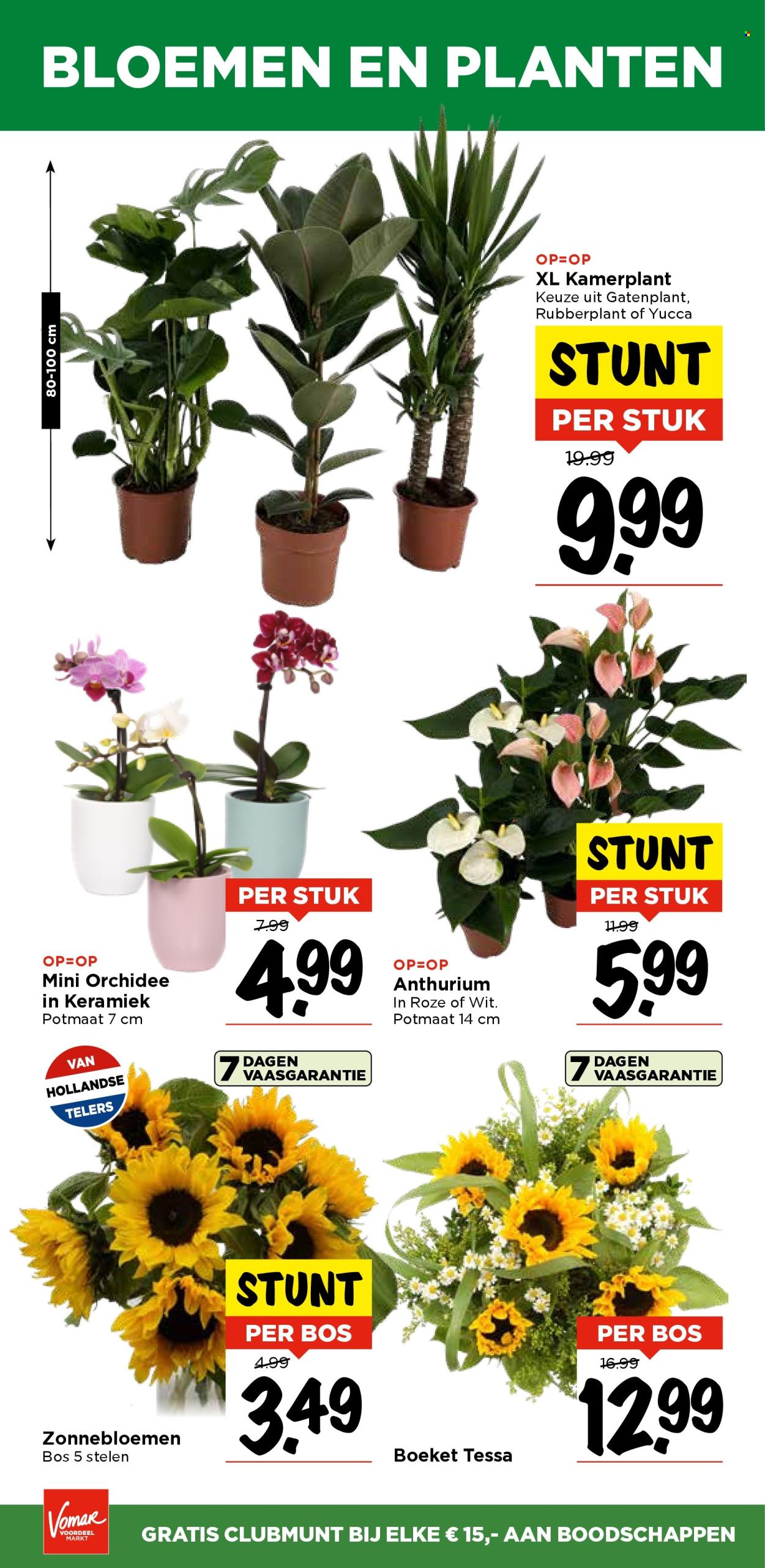 Vomar-aanbieding - 5-9-2024 - 7-9-2024. Pagina 36