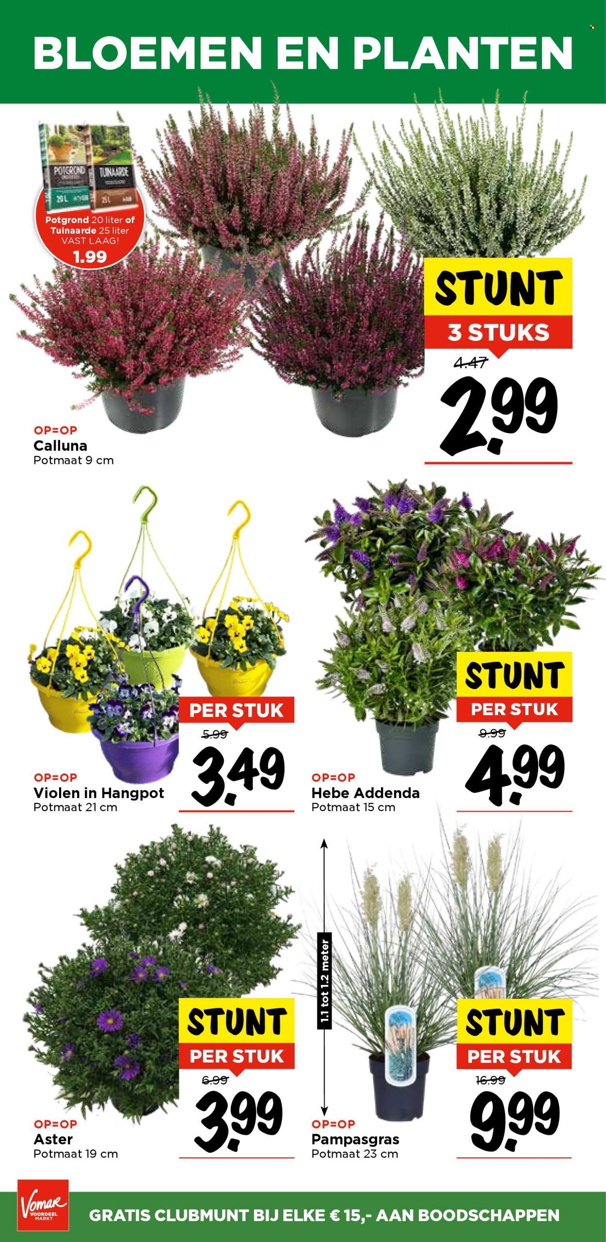 Vomar-aanbieding - 5-9-2024 - 7-9-2024. Pagina 37