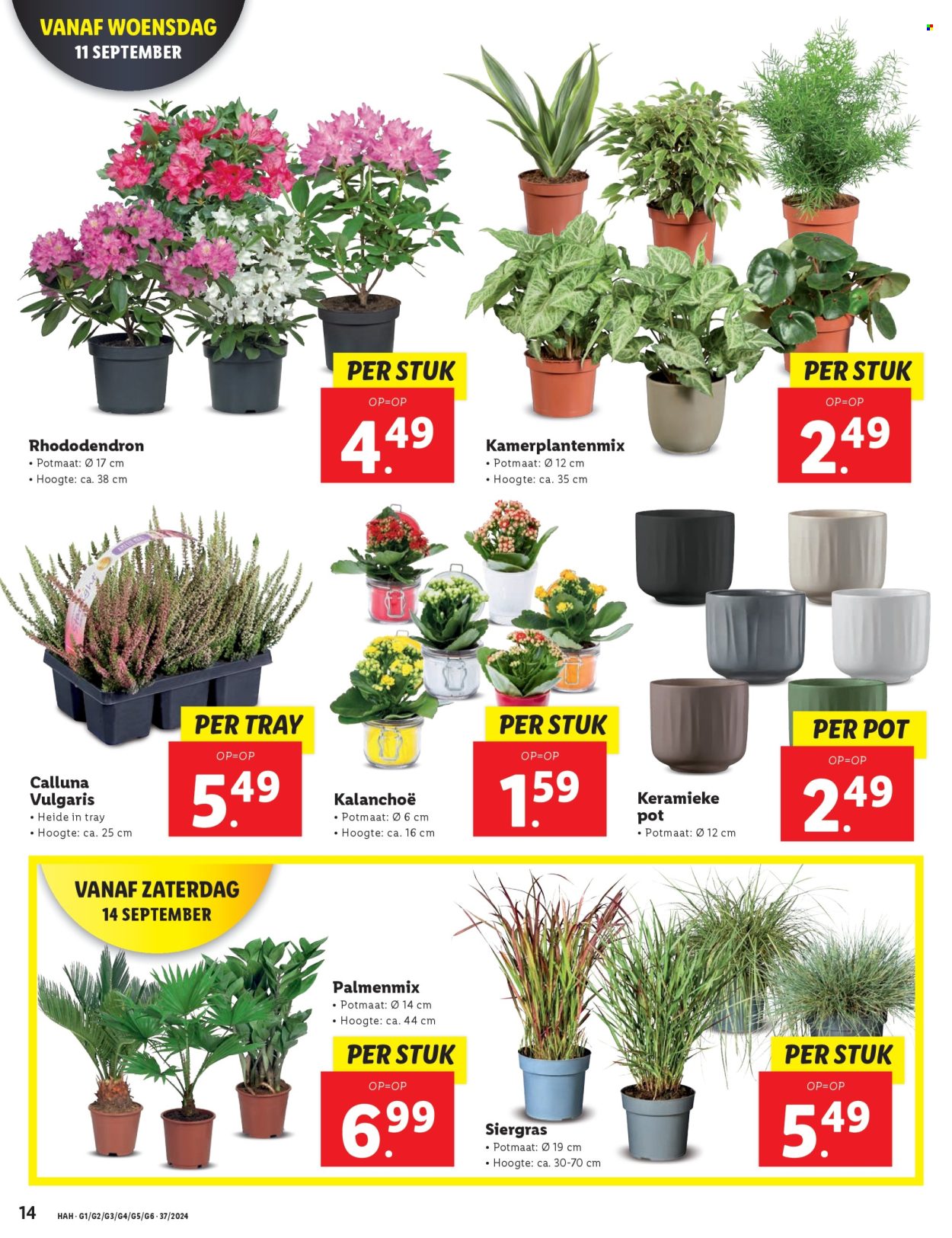 Lidl-aanbieding - 9-9-2024 - 15-9-2024. Pagina 20