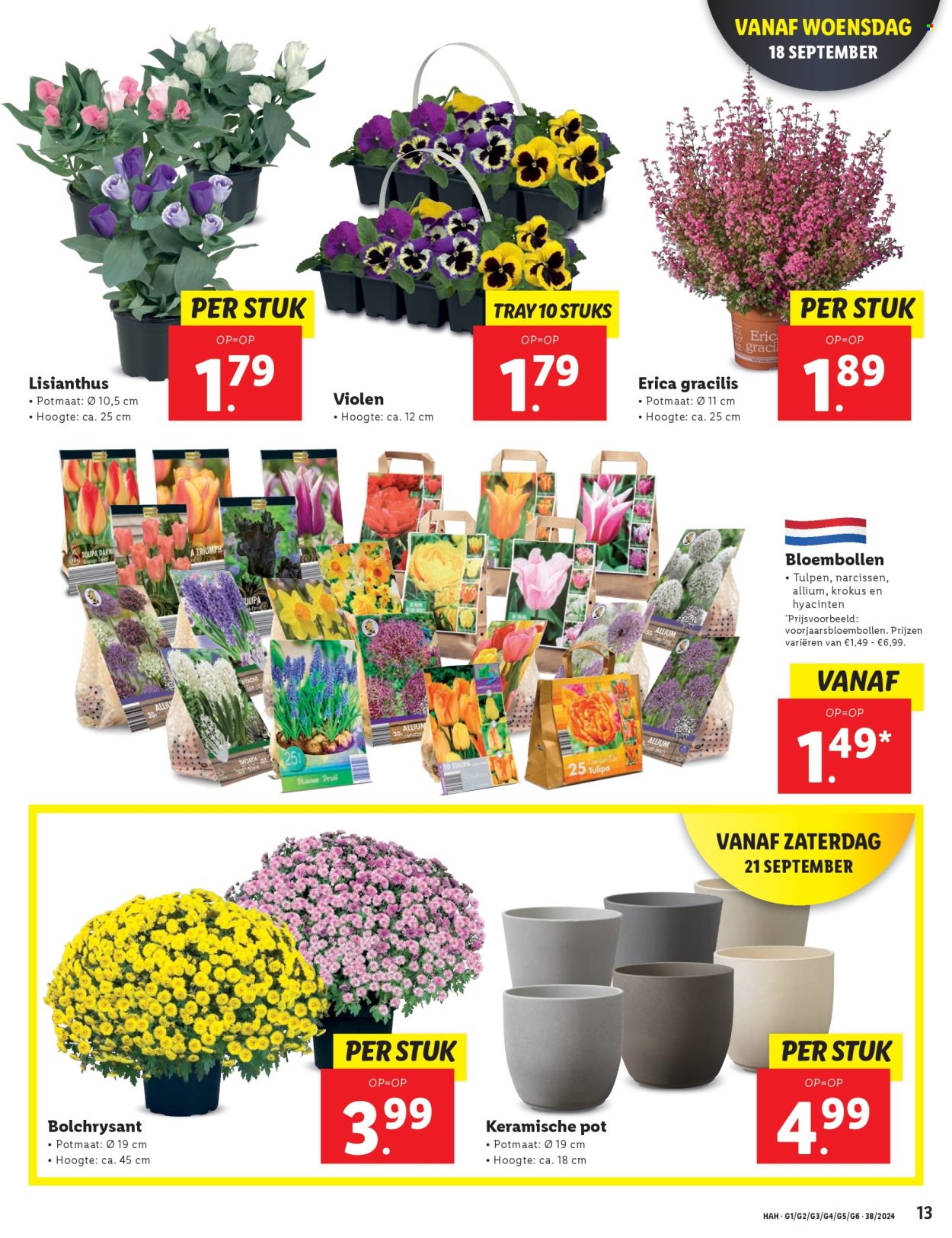 Lidl-aanbieding - 16-9-2024 - 22-9-2024. Pagina 13