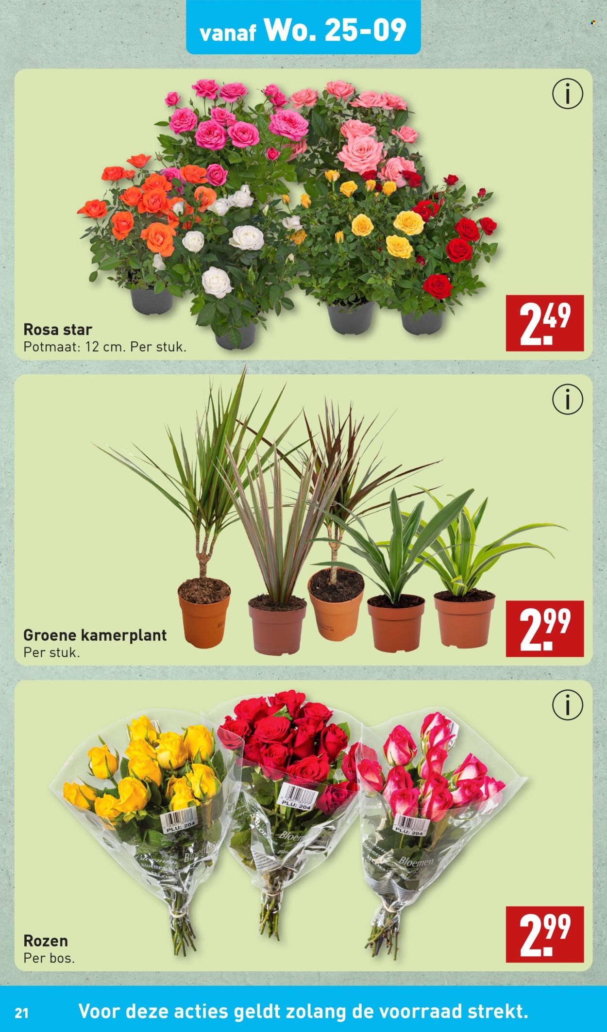 Aldi-aanbieding - 23-9-2024 - 29-9-2024. Pagina 21