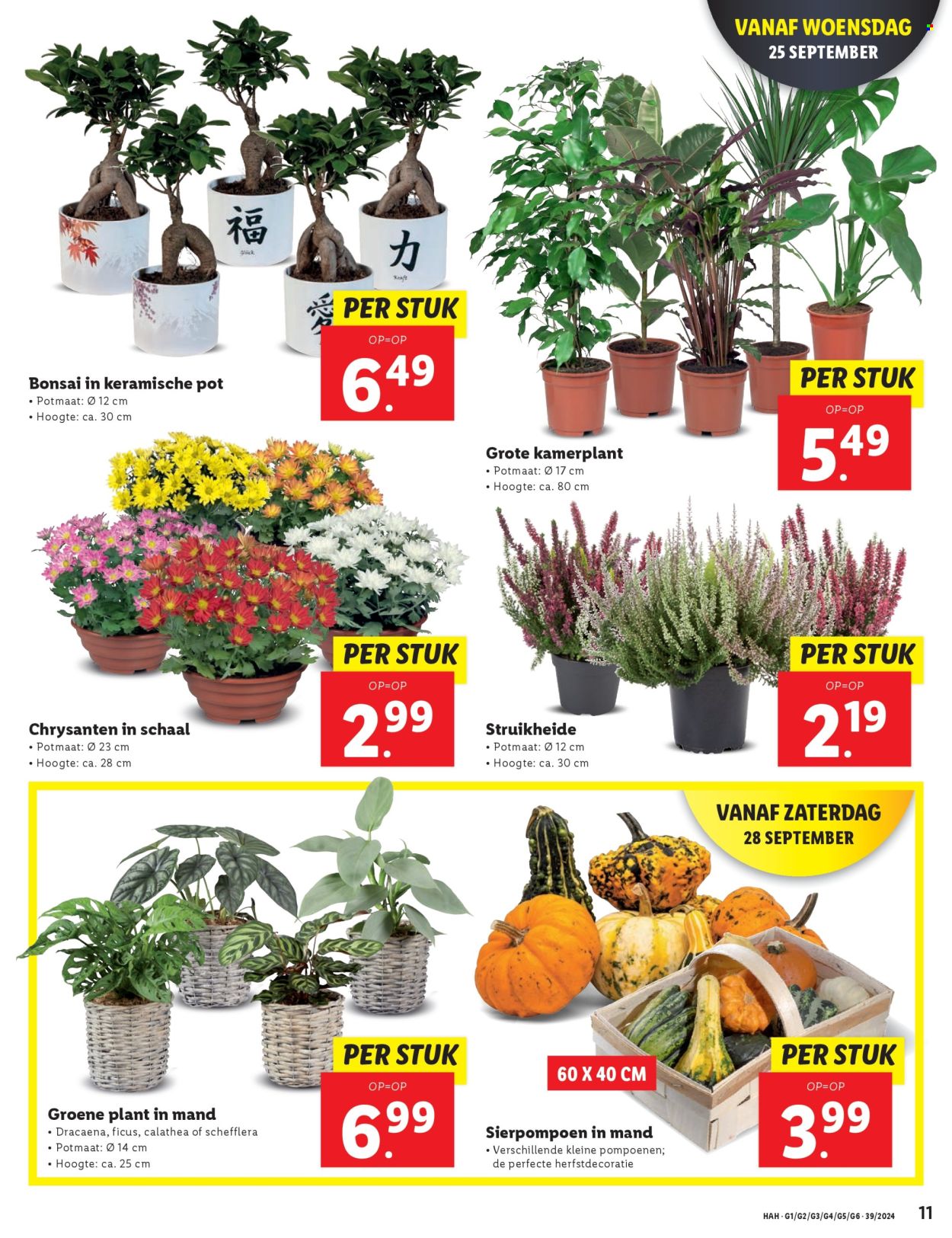 Lidl-aanbieding - 23-9-2024 - 29-9-2024. Pagina 13