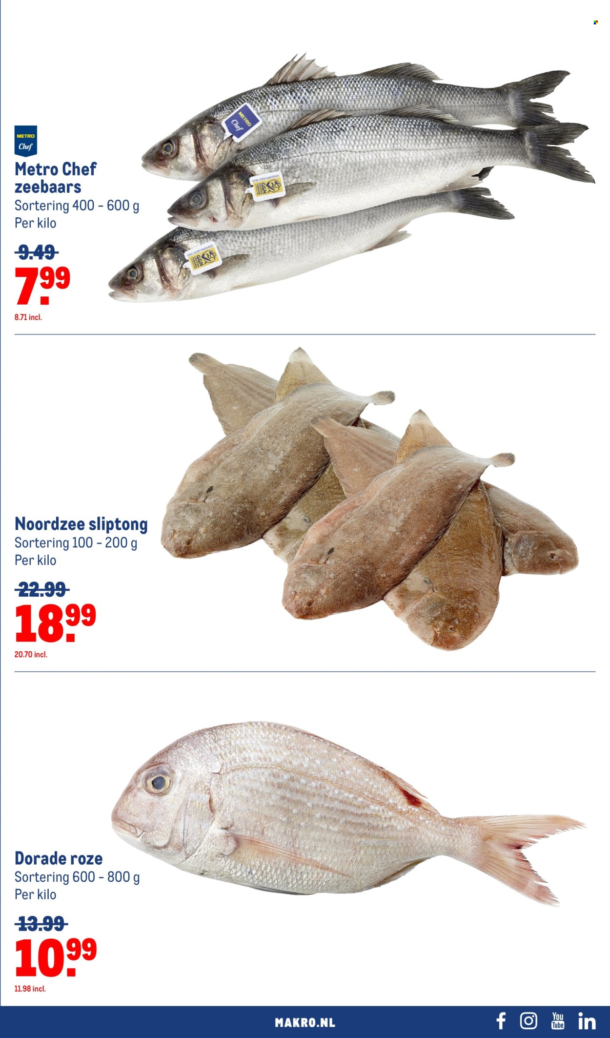 Makro-aanbieding - 25-9-2024 - 8-10-2024. Pagina 23