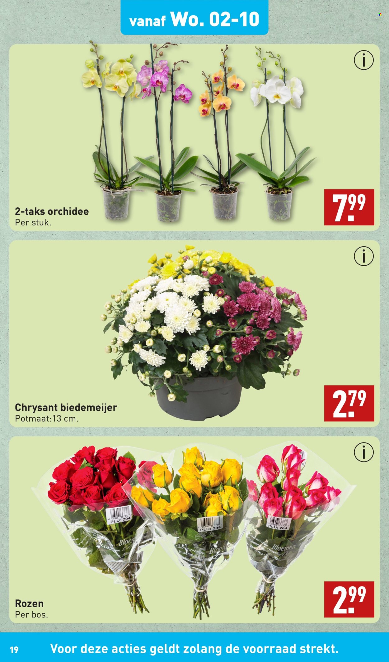 Aldi-aanbieding - 30-9-2024 - 6-10-2024. Pagina 19
