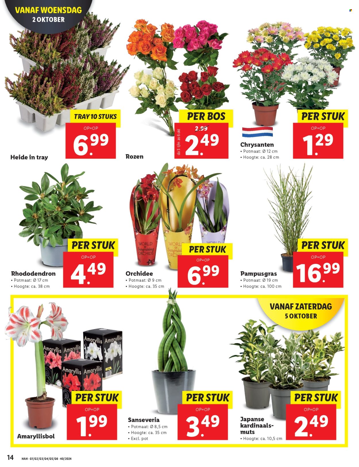 Lidl-aanbieding - 30-9-2024 - 6-10-2024. Pagina 18