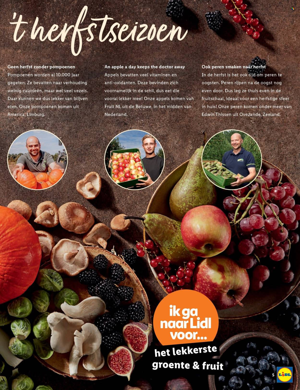 Lidl-aanbieding. Pagina 5