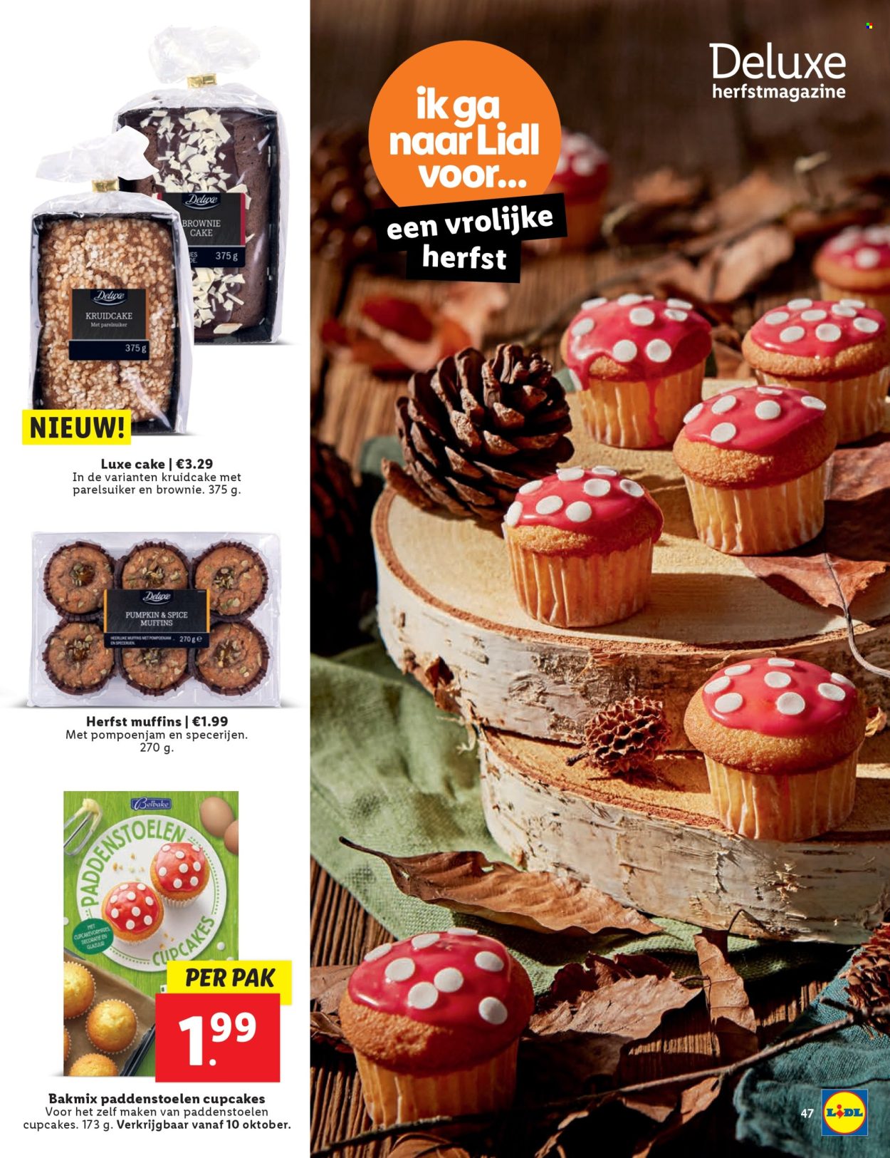 Lidl-aanbieding. Pagina 47