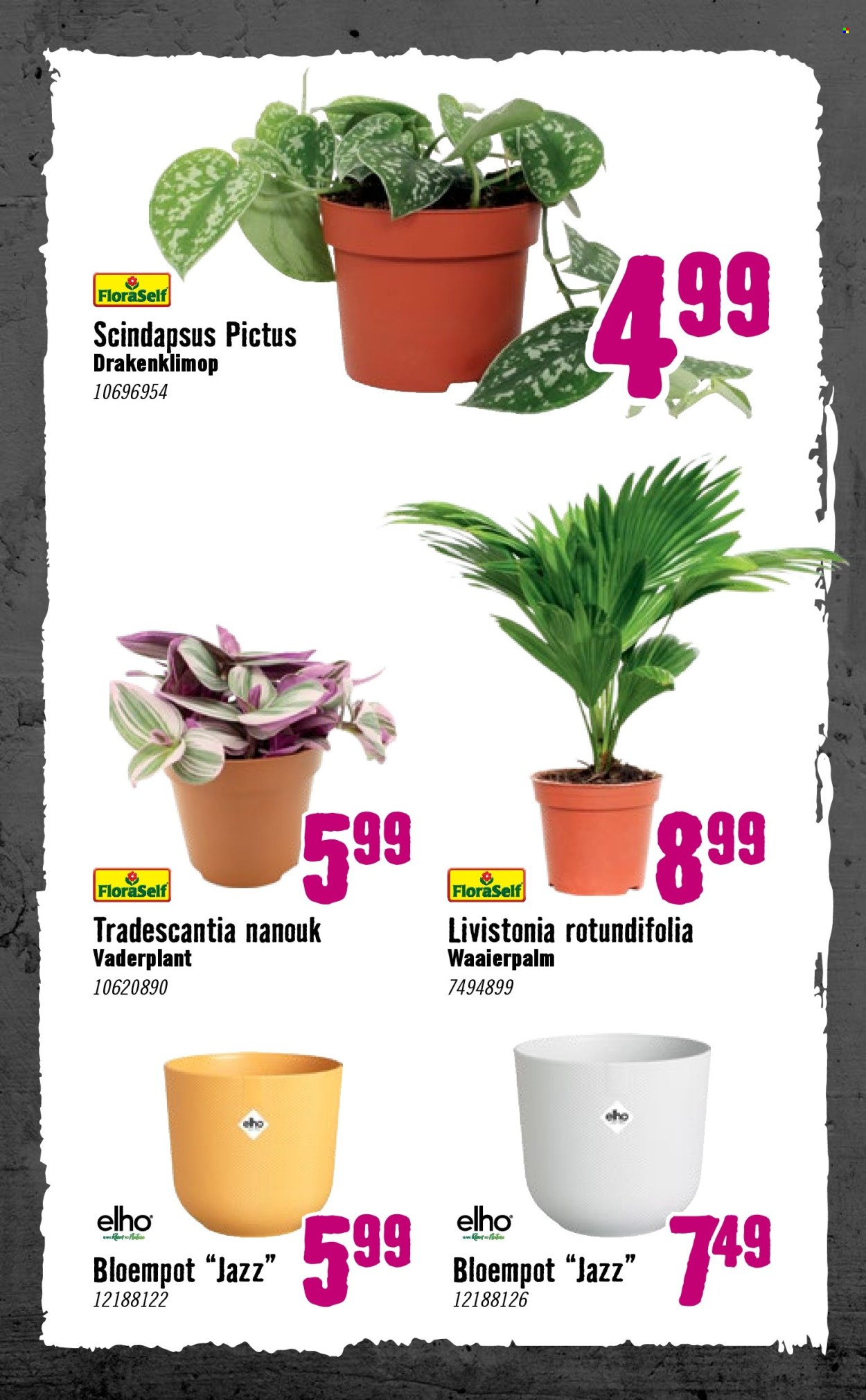 Hornbach-aanbieding - 30-9-2024 - 27-10-2024. Pagina 40