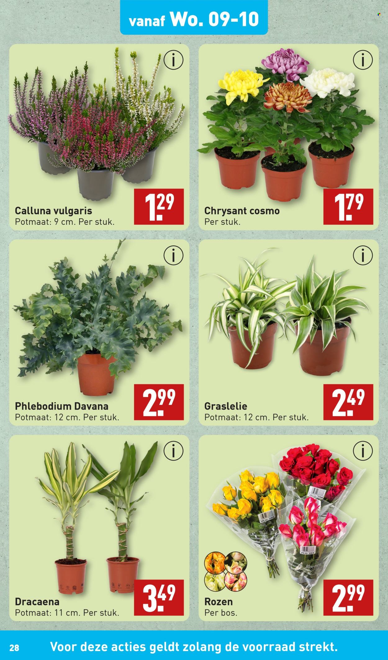 Aldi-aanbieding - 7-10-2024 - 13-10-2024. Pagina 29