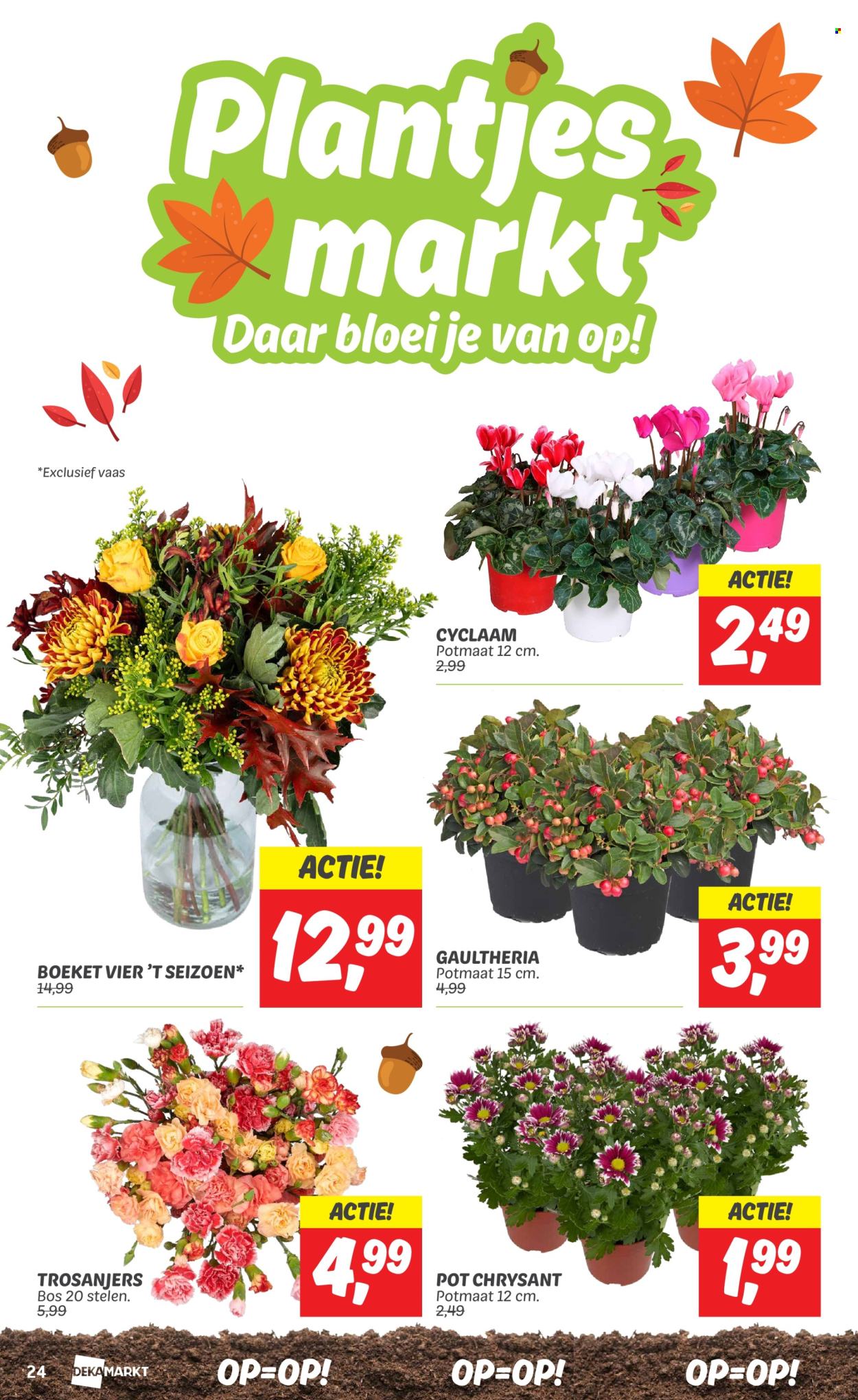 DekaMarkt-aanbieding - 8-10-2024 - 14-10-2024. Pagina 24