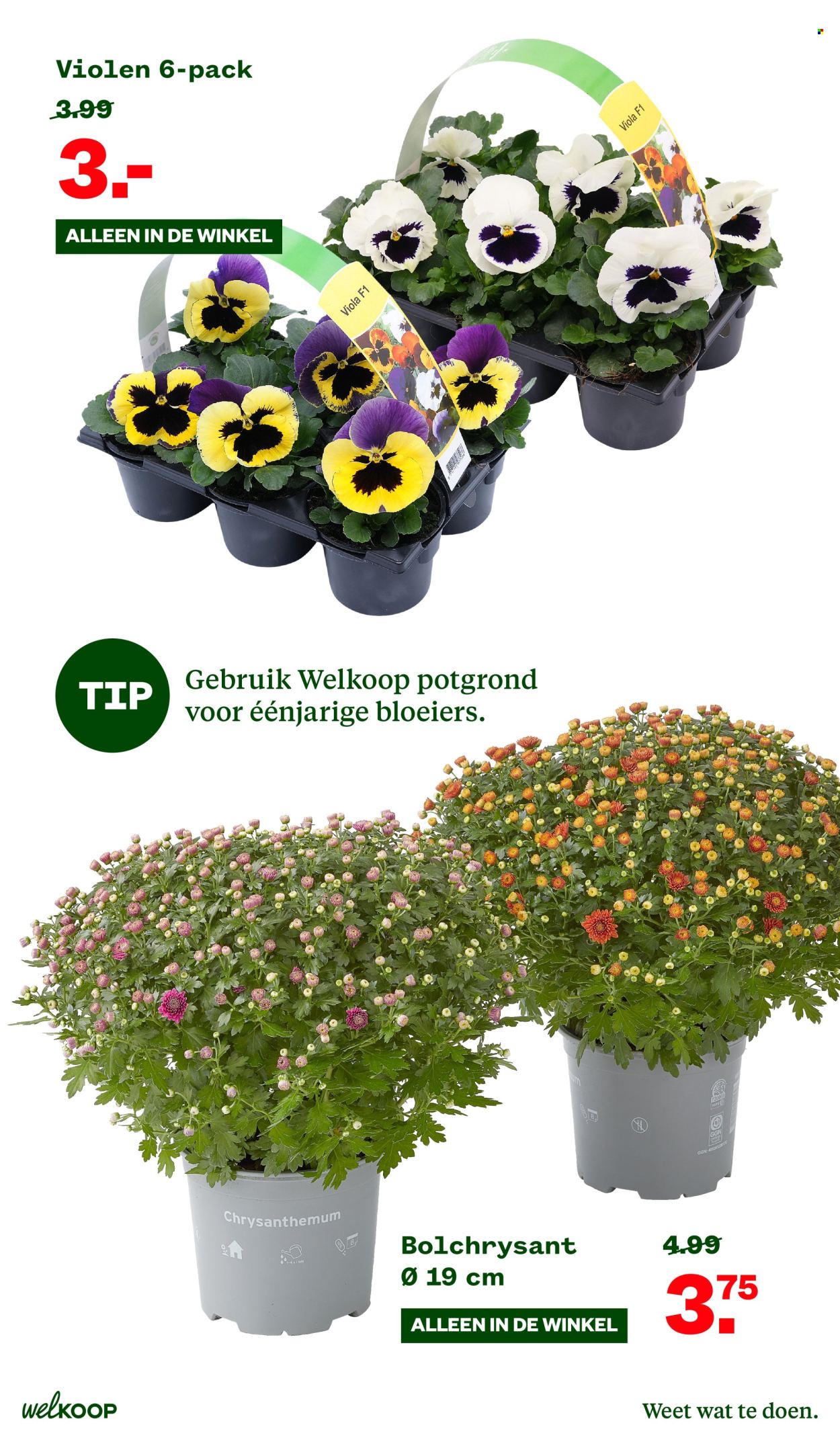 Welkoop-aanbieding - 7-10-2024 - 20-10-2024. Pagina 11