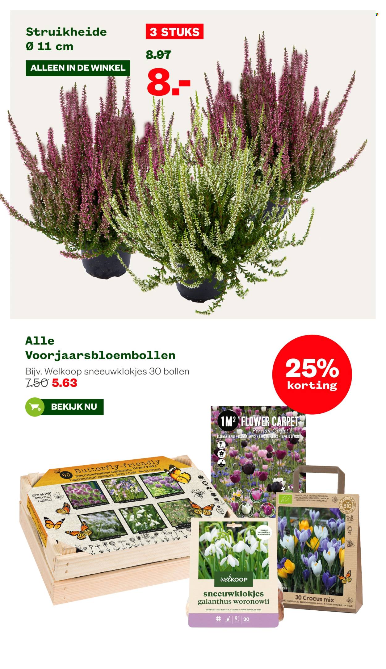 Welkoop-aanbieding - 7-10-2024 - 20-10-2024. Pagina 12