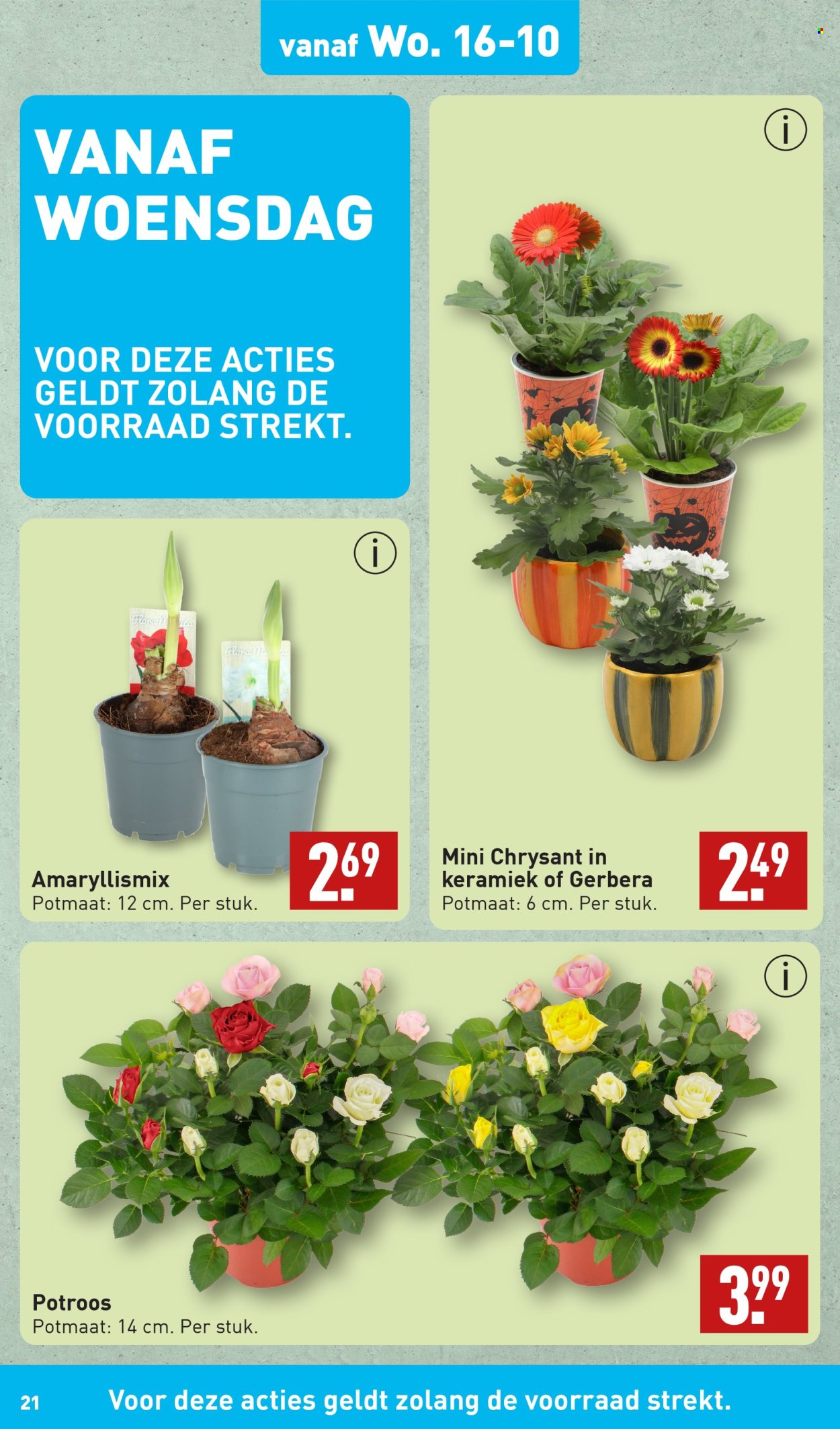 Aldi-aanbieding - 14-10-2024 - 20-10-2024. Pagina 21