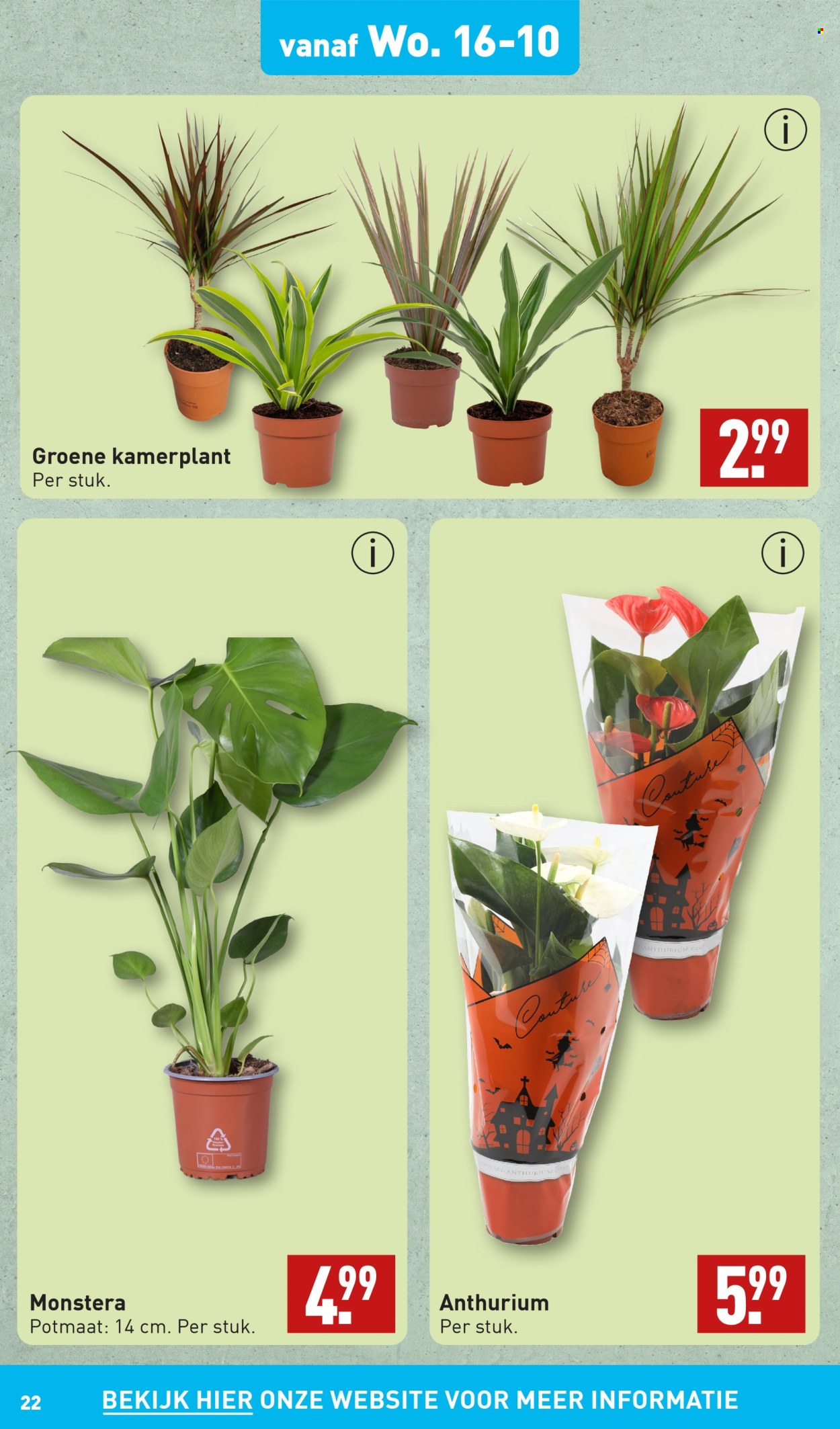 Aldi-aanbieding - 14-10-2024 - 20-10-2024. Pagina 22