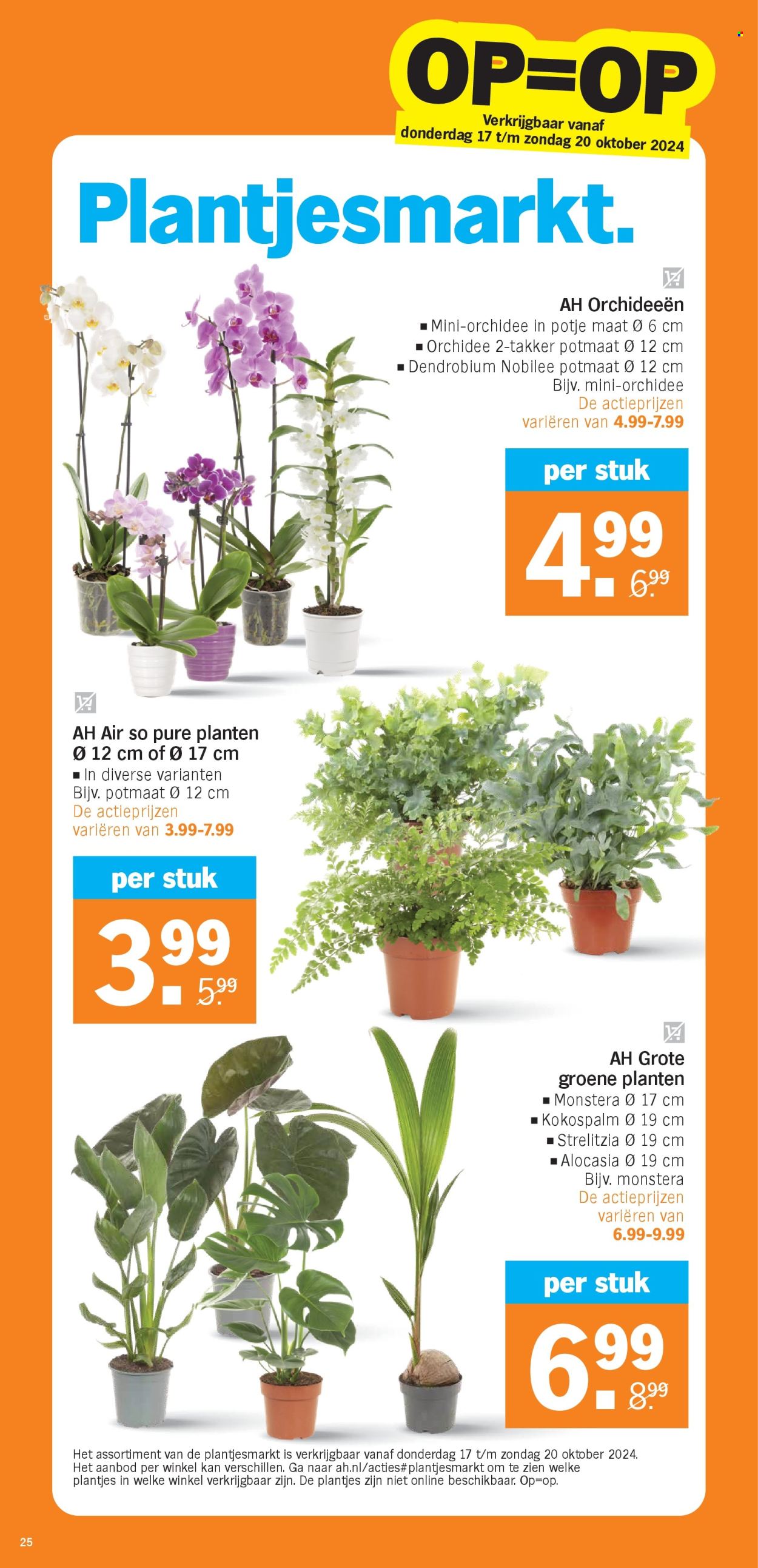 Albert Heijn-aanbieding - 14-10-2024 - 20-10-2024. Pagina 31