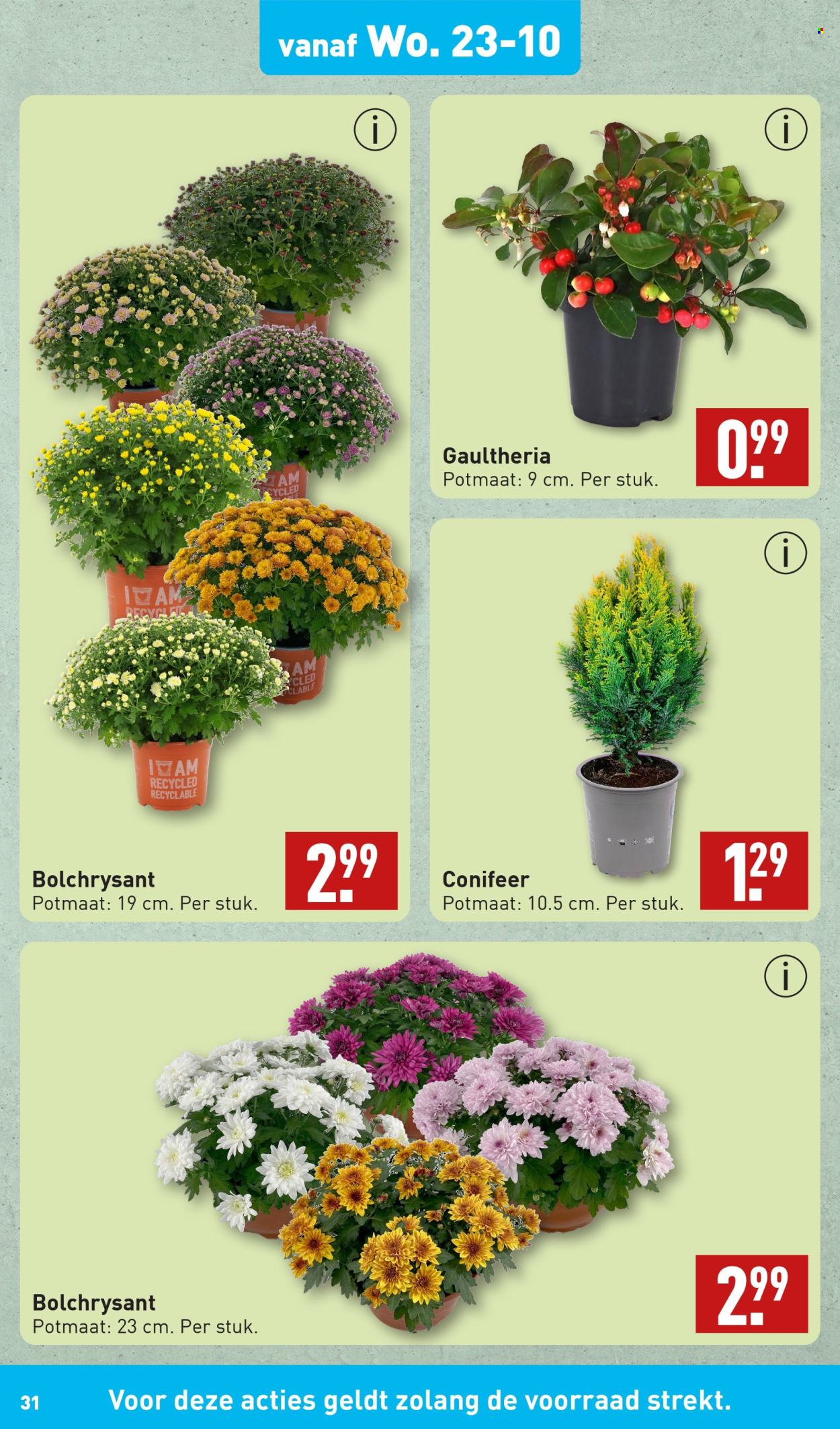 Aldi-aanbieding - 21-10-2024 - 27-10-2024. Pagina 31