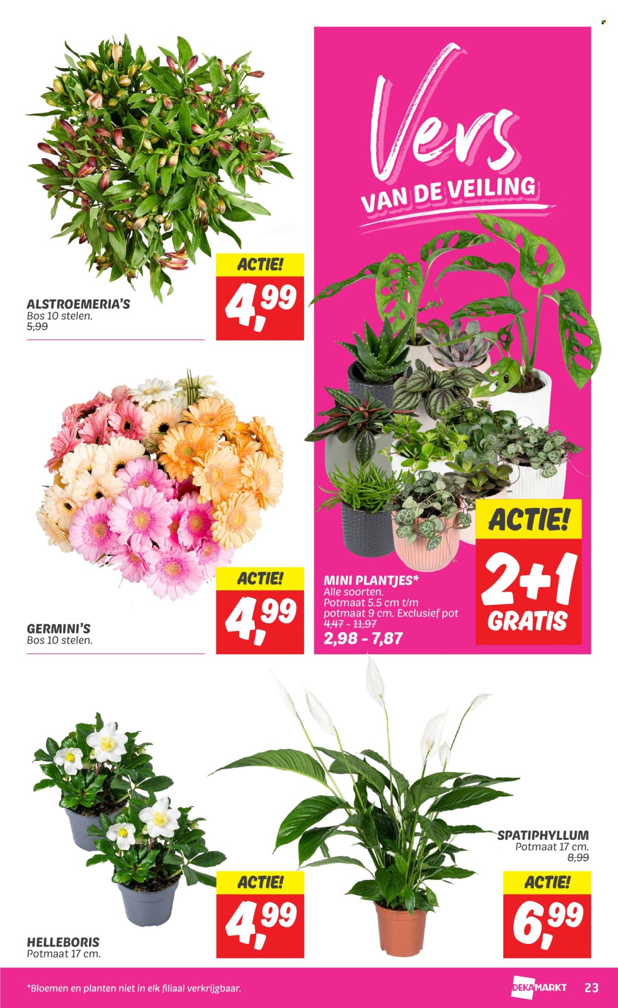DekaMarkt-aanbieding - 22-10-2024 - 28-10-2024. Pagina 23