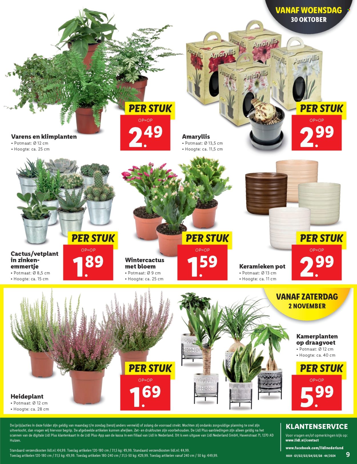 Lidl-aanbieding - 28-10-2024 - 3-11-2024. Pagina 13