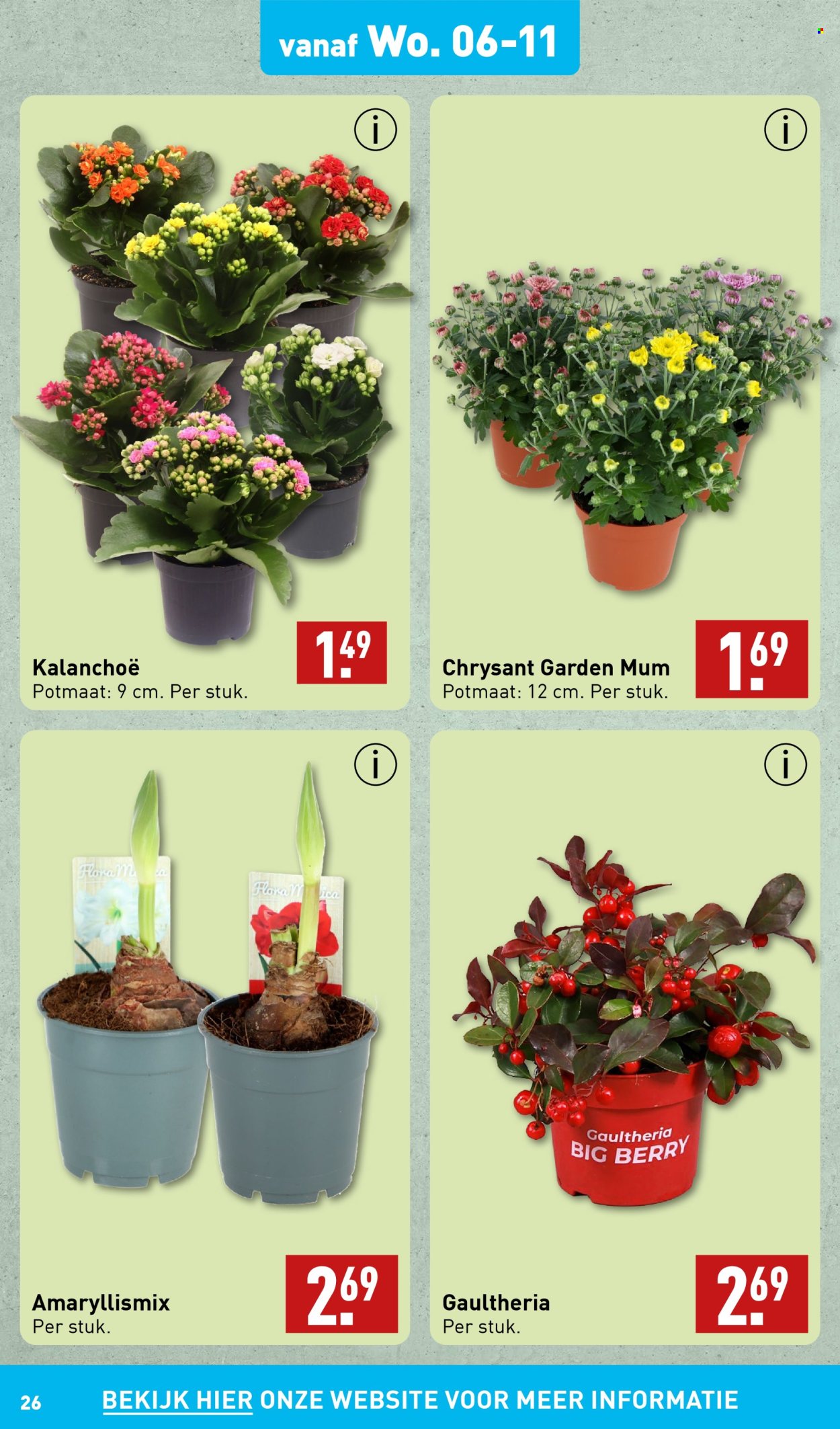 Aldi-aanbieding - 4-11-2024 - 10-11-2024. Pagina 26